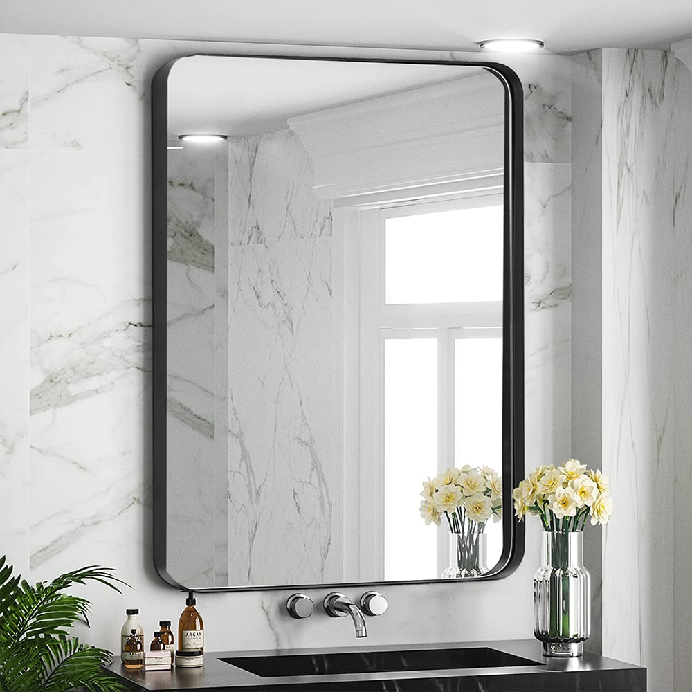 Clavie 30-in W x 48-in H Brushed Black Framed Wall Mirror in the ...