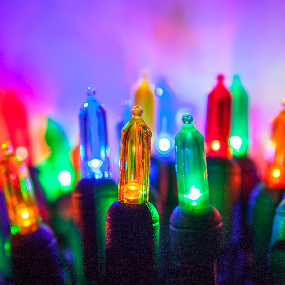 Wintergreen Lighting 82992 Christmas-String-Lights - View #2