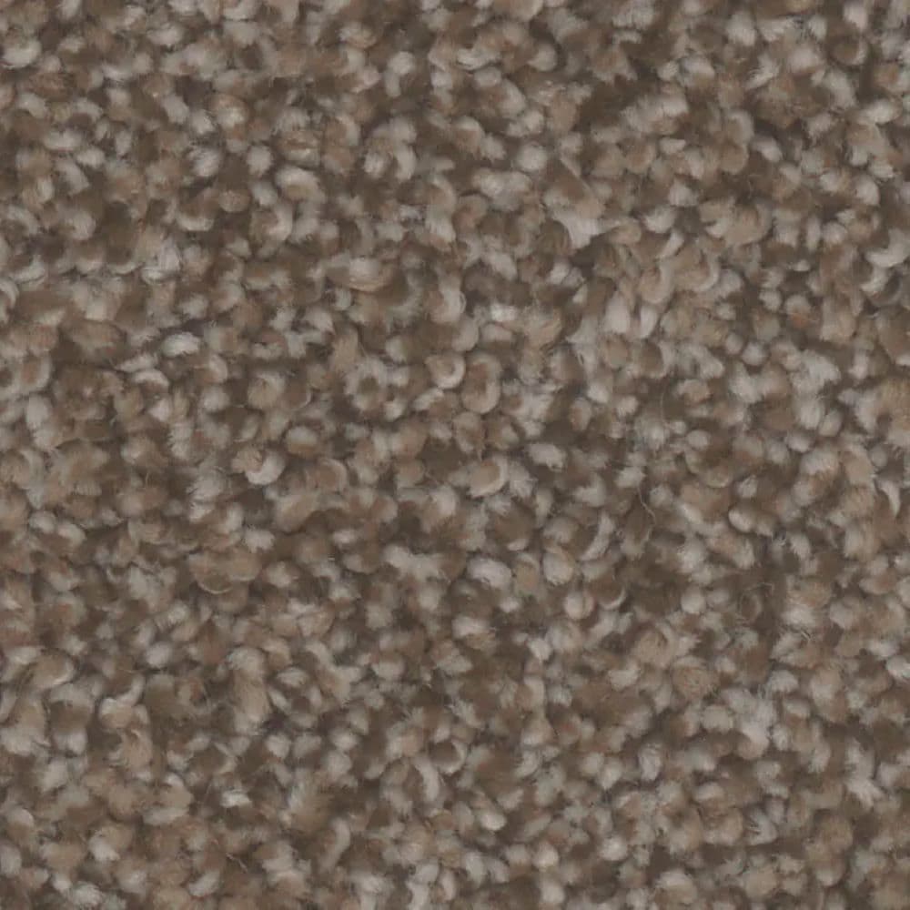 STAINMASTER S9945-20005-1200-MO Paradise I Calm Brown 45-oz sq yard Polyester Textured Indoor Carpet