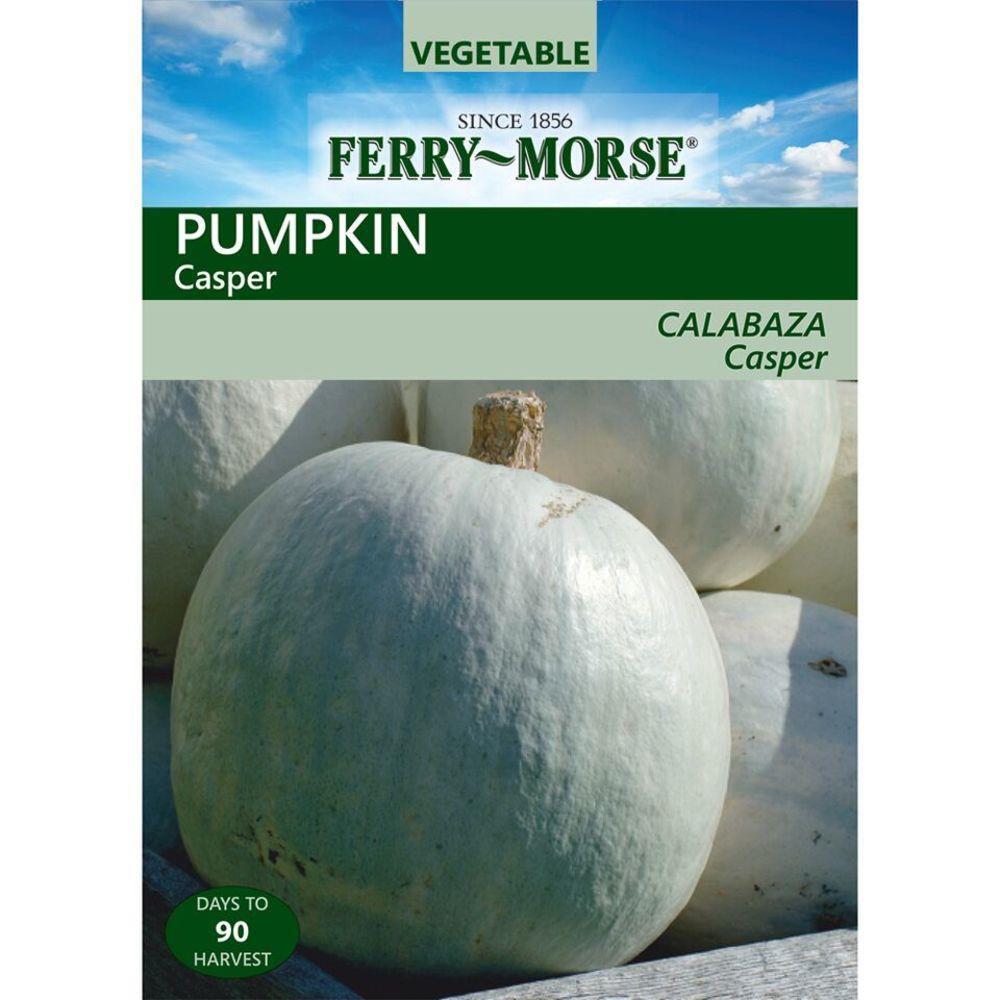 Ferry-Morse 473237.159.406310 2-Gram Pumpkin Casper (L0000)