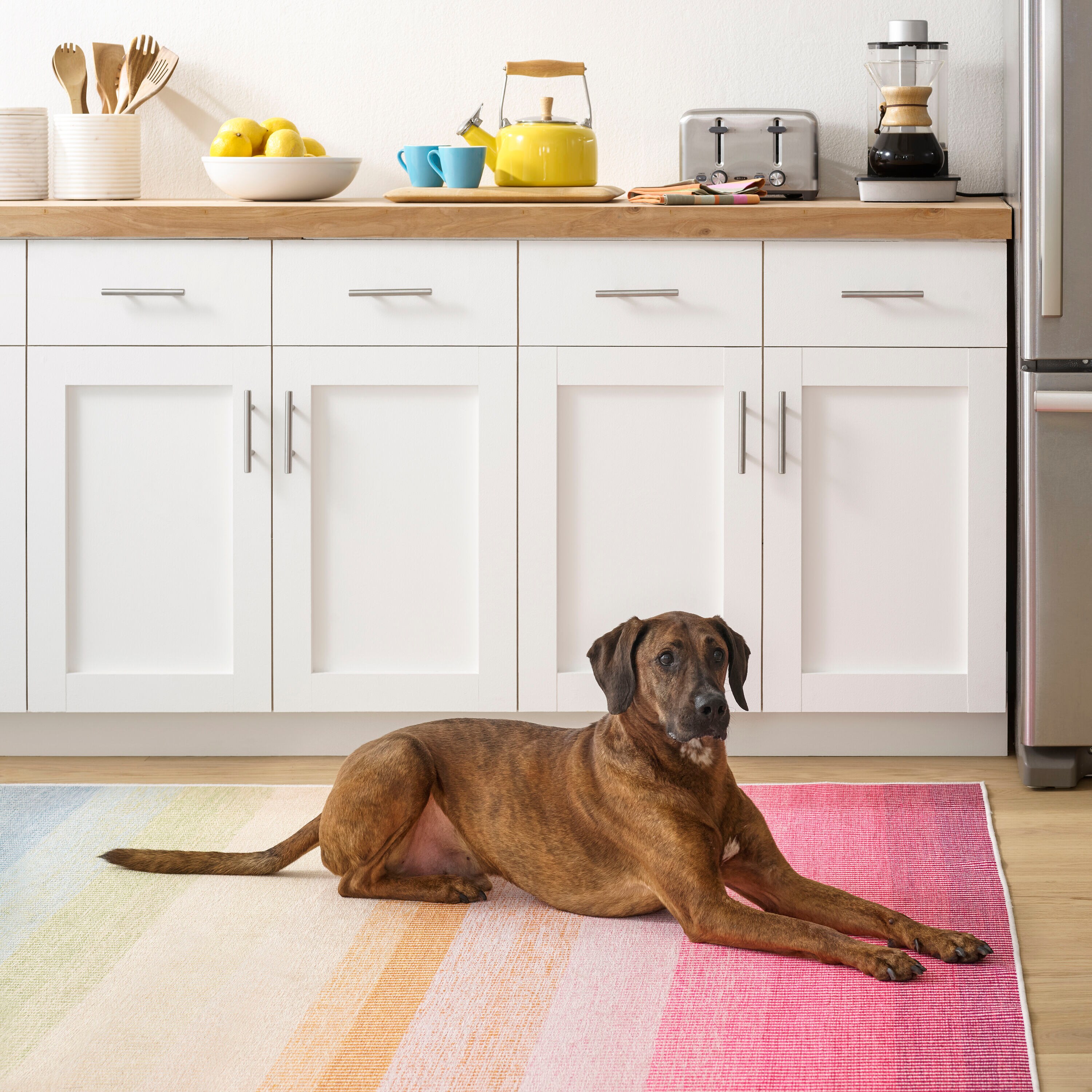 DASH & ALBERT DA2058-46 rugs - View #3