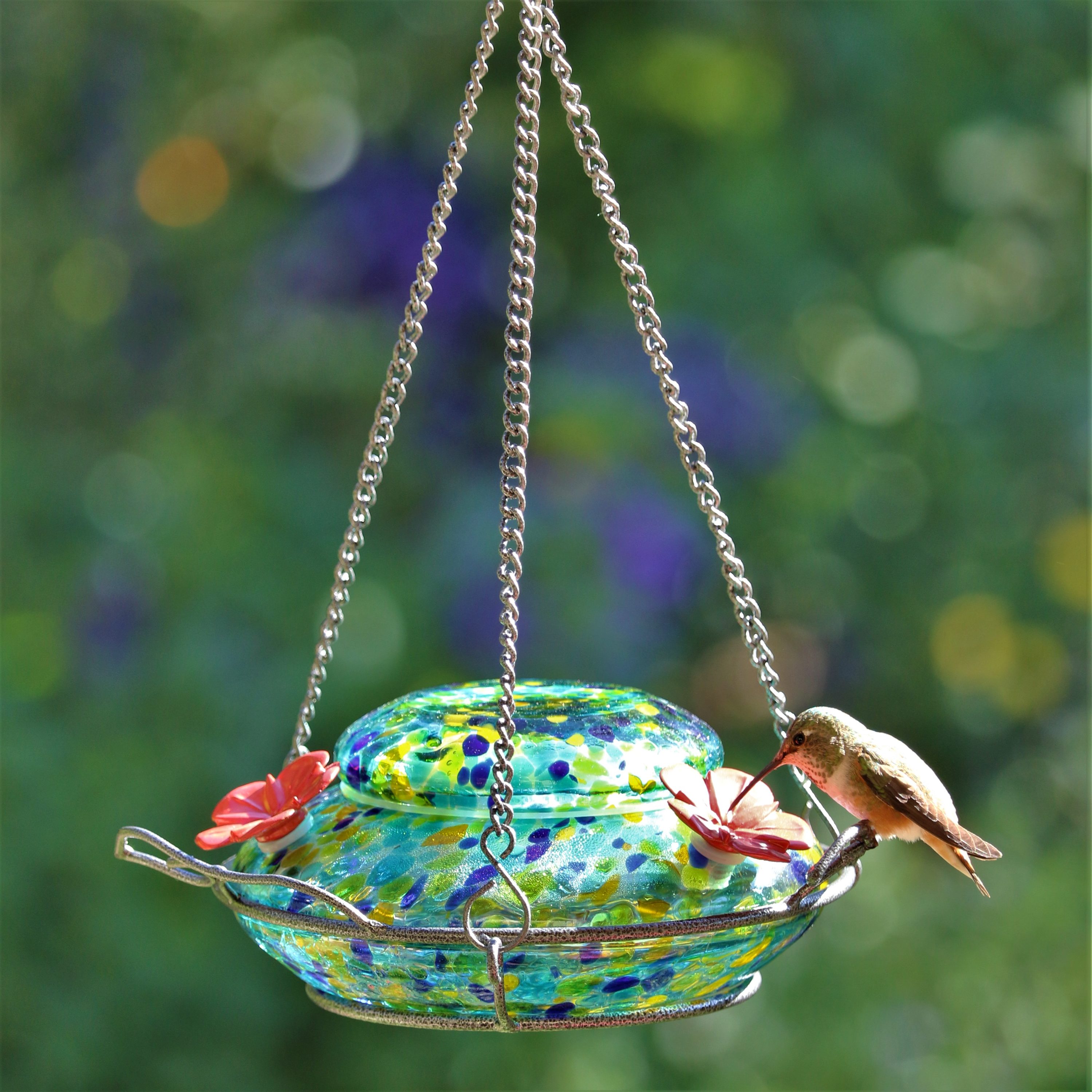 Window Hummingbird Feeder Perch - Clear Window Bird Feeder - Starcrest