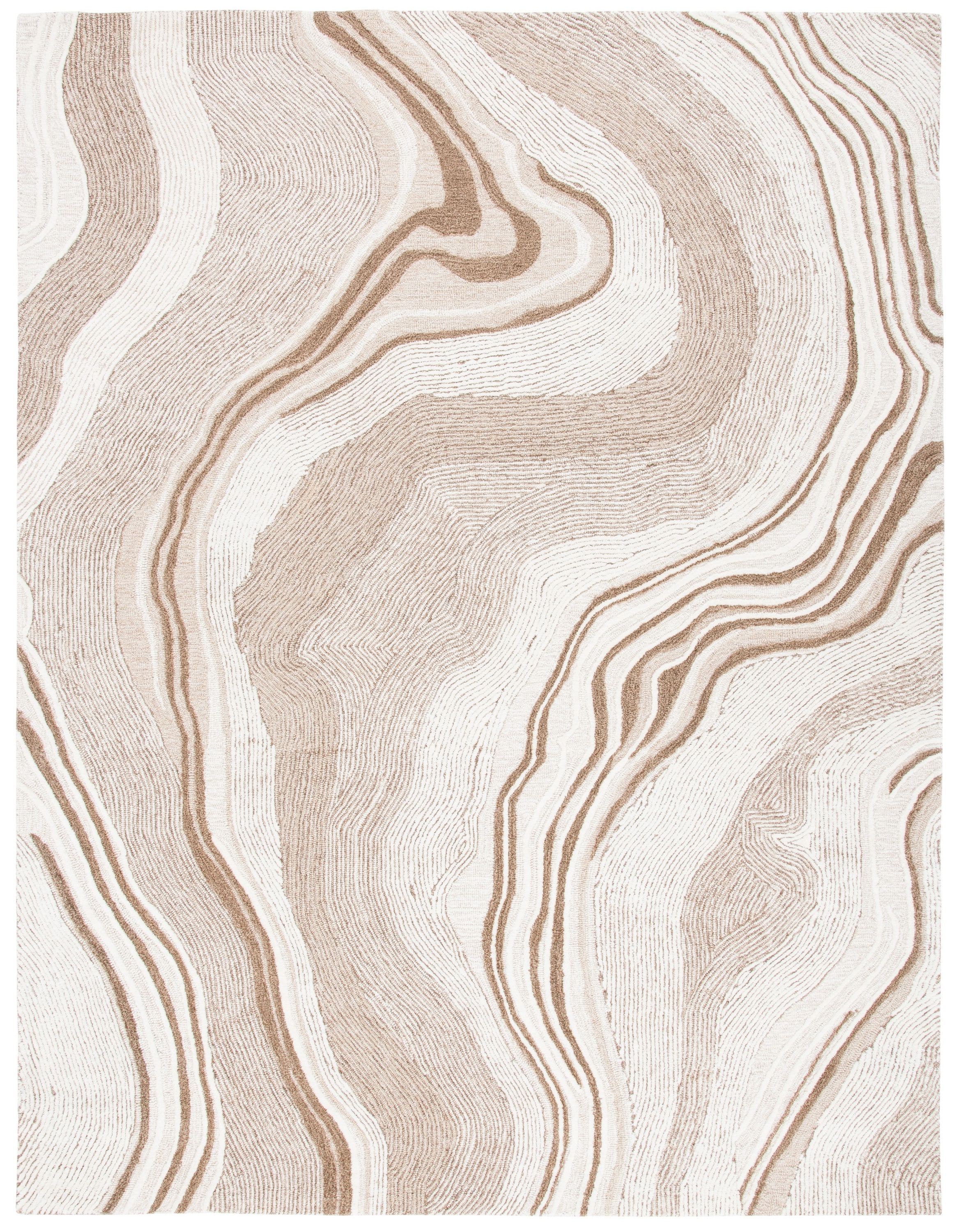 Safavieh FTV121B-10 rugs - View #2