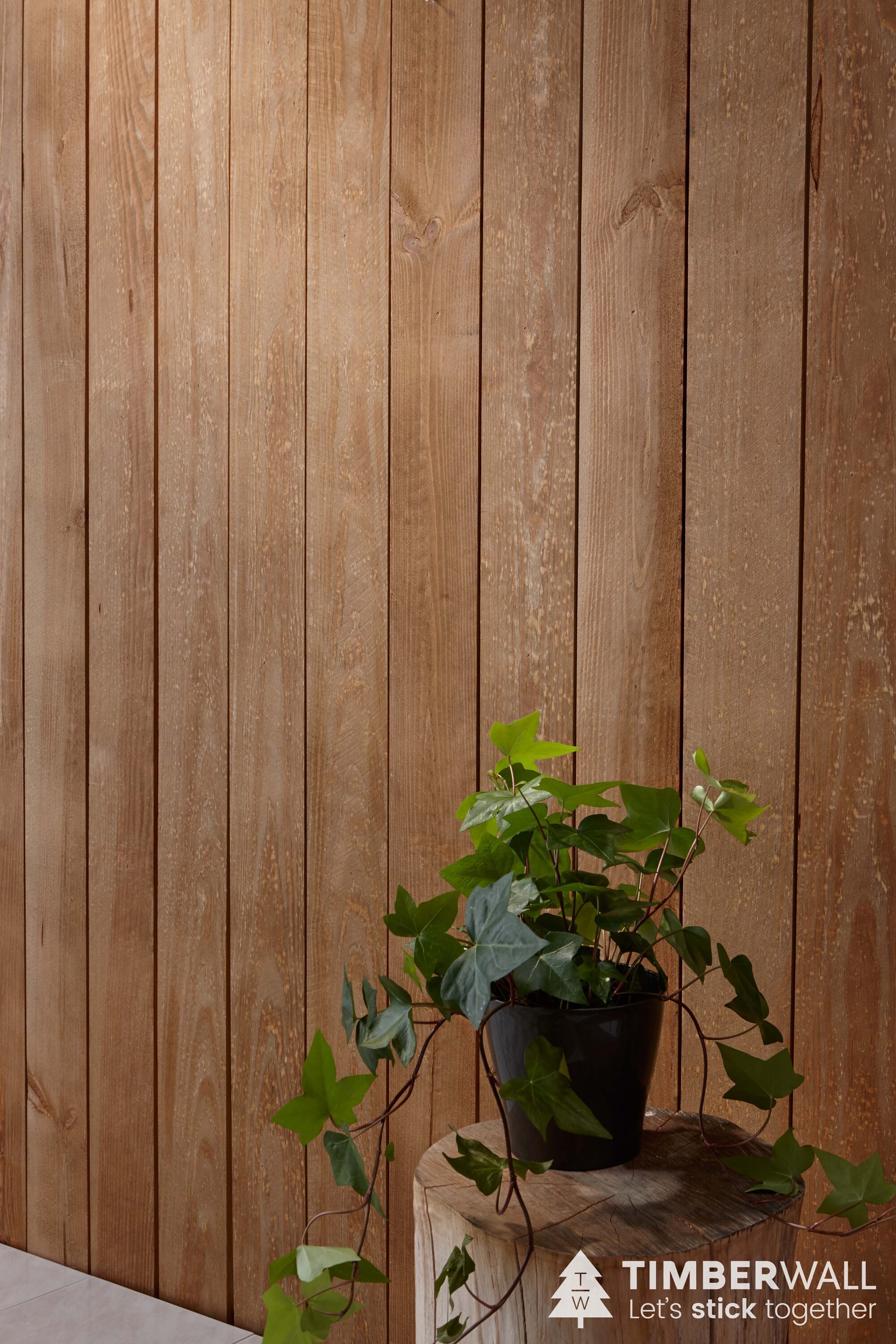 Timberwall Wooden Pallet Pine Wood Wall Plank Kit (Coverage Area