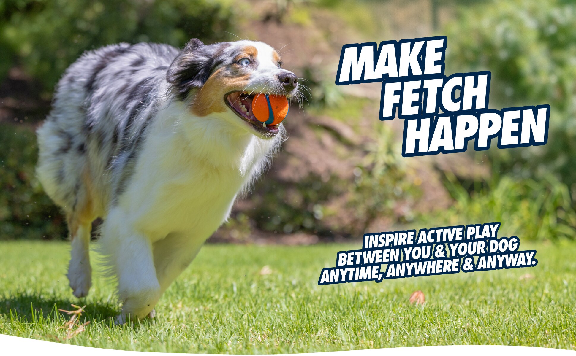 Petmate 47089 Dog-Toys - View #6