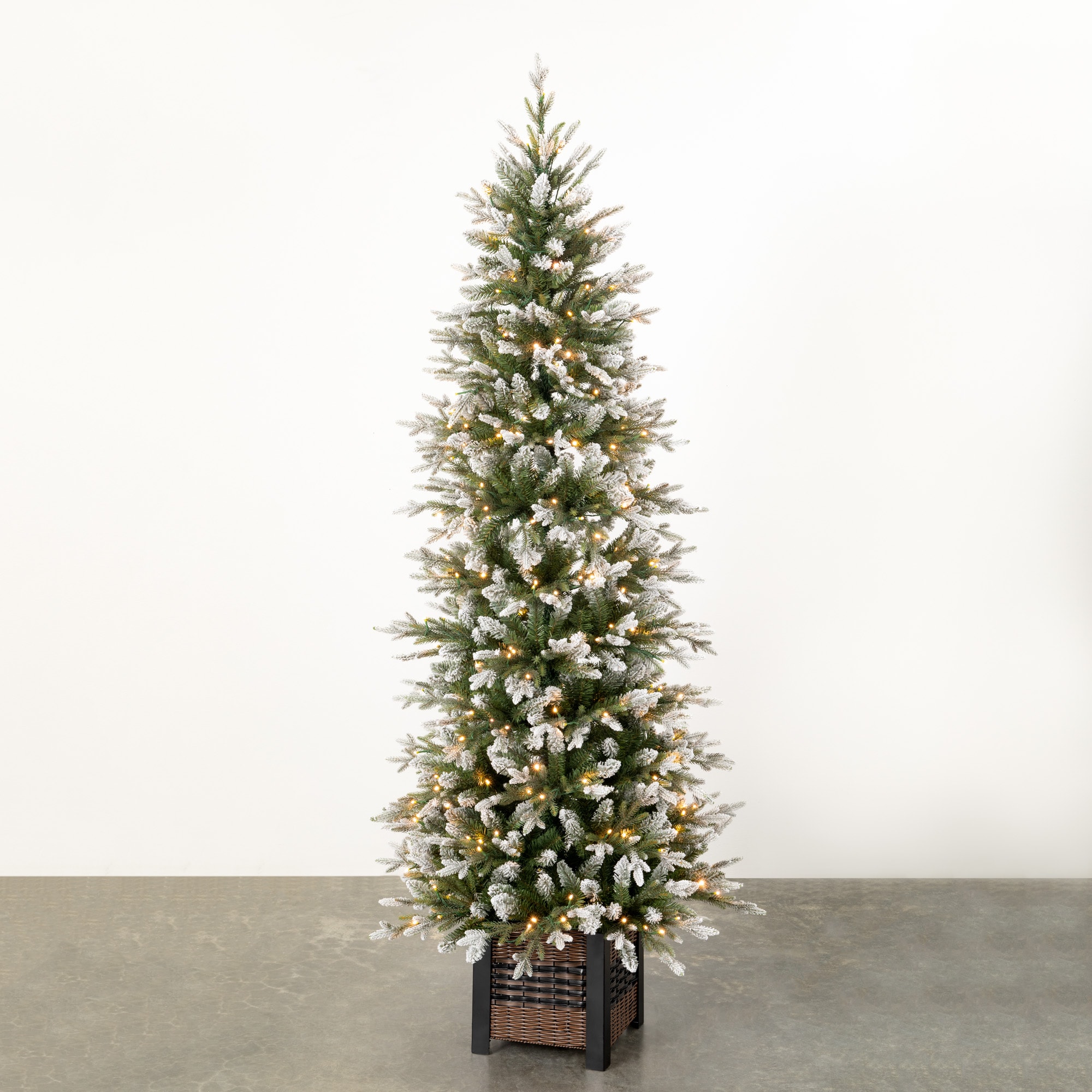 Sullivans TR1195 6.75-ft Pine Pre-lit Artificial Christmas Tree with LED Lights