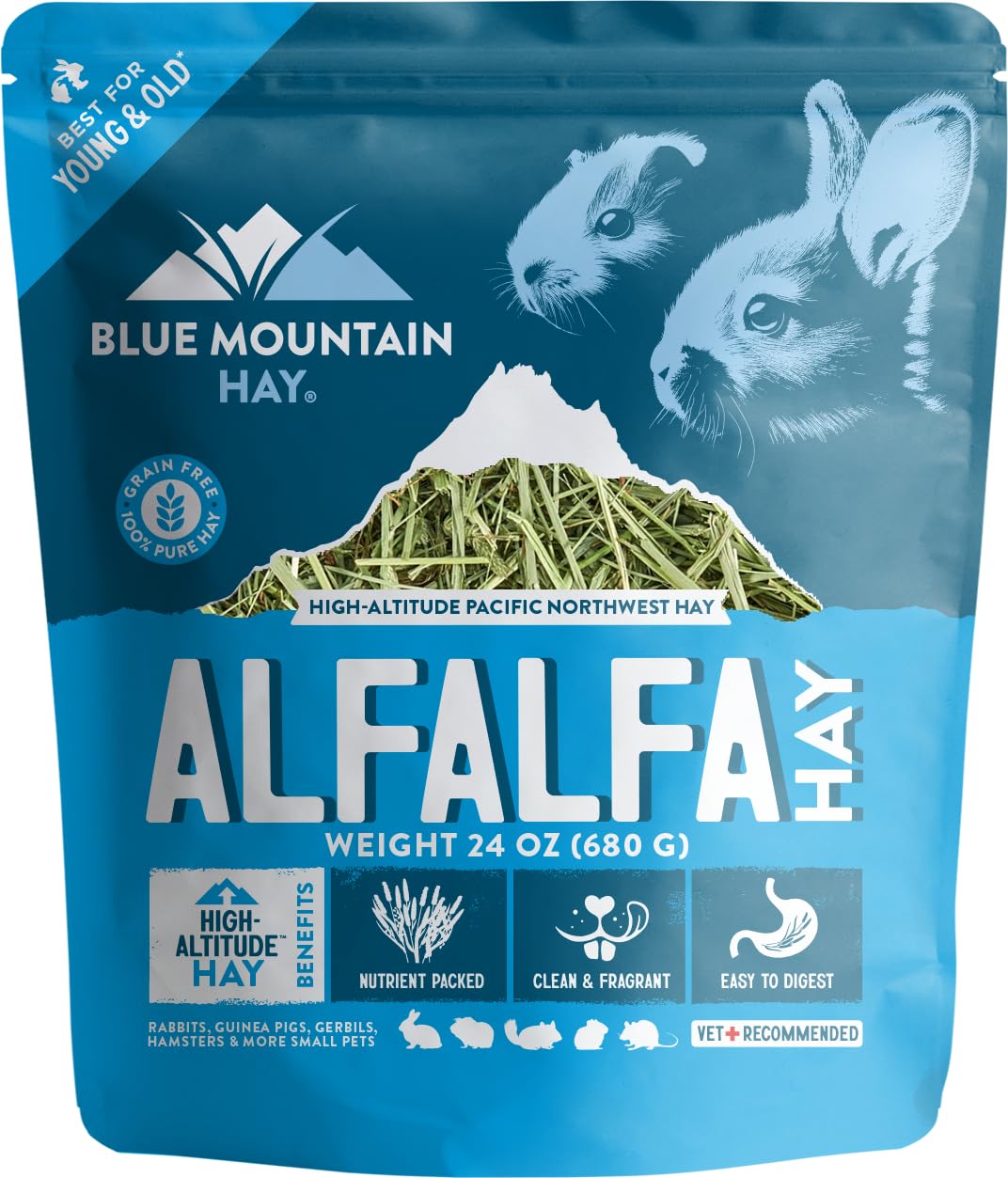 Blue Mountain DIB-BH-756450QTY-1 Premium  Alfalfa Hay for Small Pets Nutritious Fresh and High Altitude Snack 24 Ounce