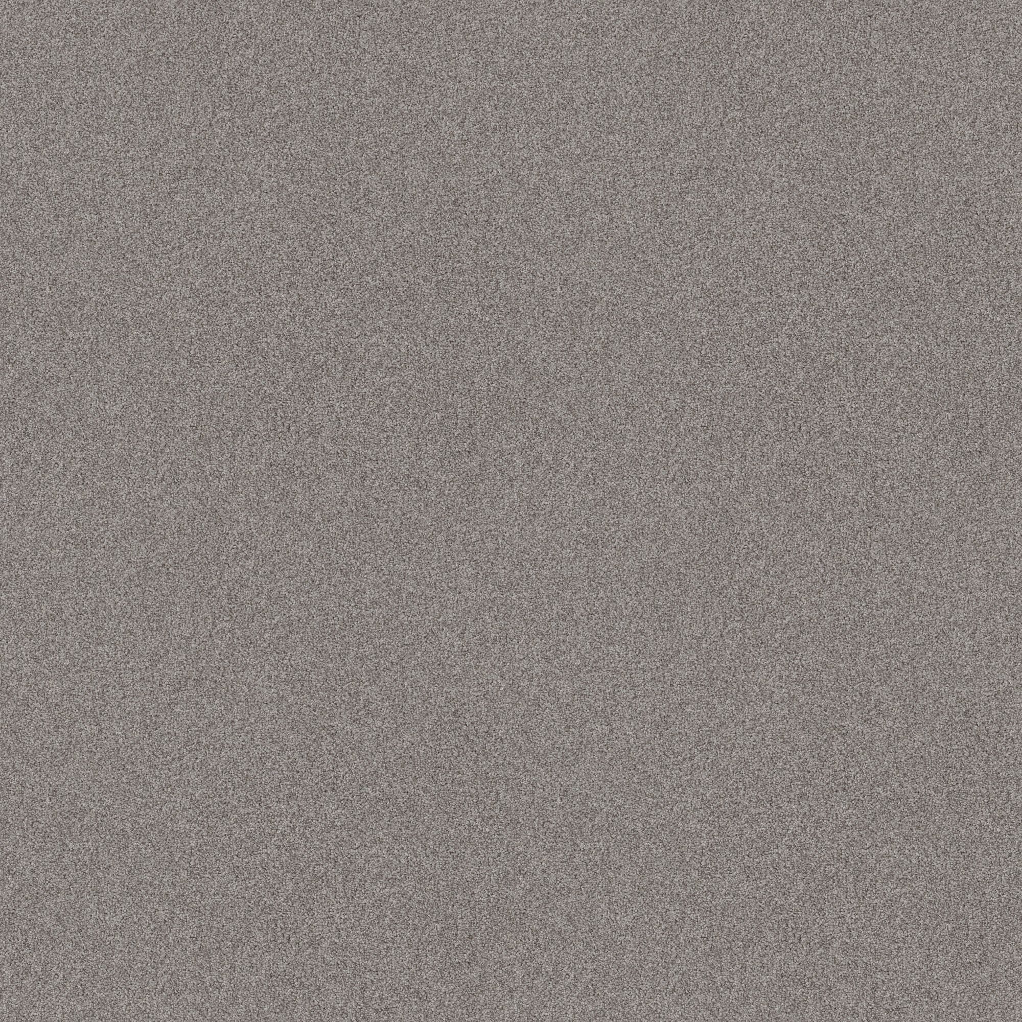 STAINMASTER PetProtect 7L90600504 Paws Down I Grey Fox Gray 34.1-oz sq yard Nylon Textured Indoor Carpet