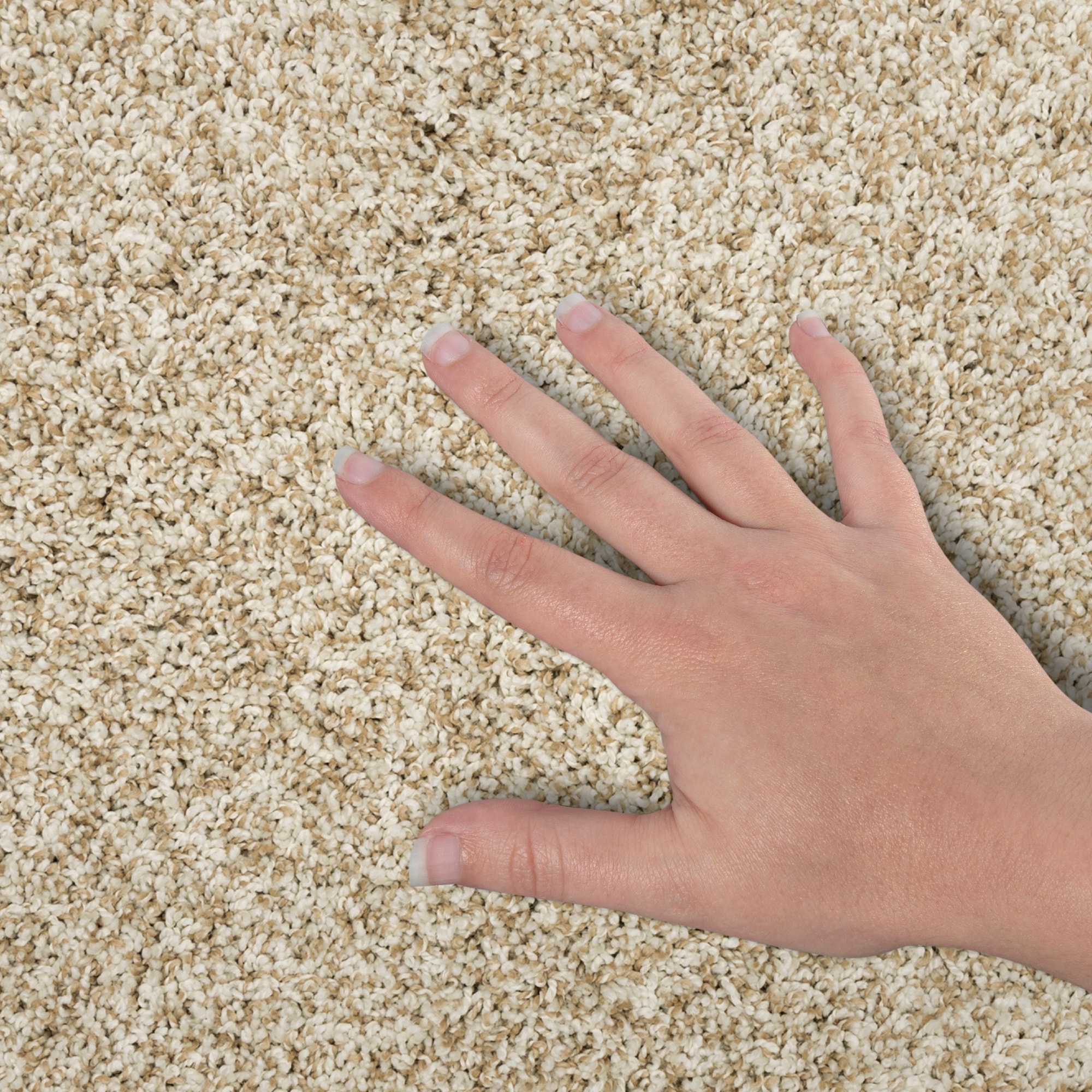 STAINMASTER PetProtect SS060-12-L013 Carpet-Panel - View #4