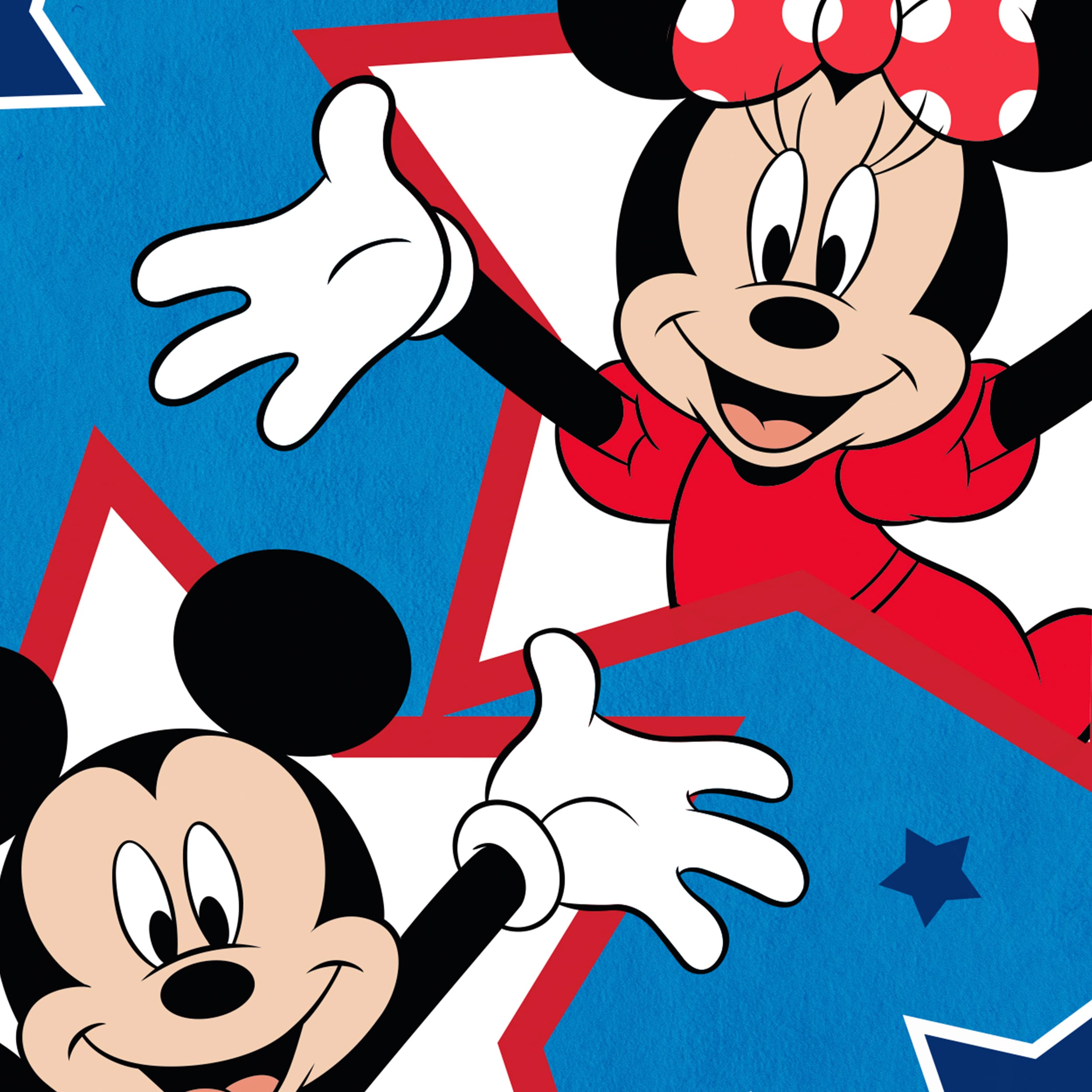 Disney 10-1315-92-01 Decorative-Banner-Flags - View #4