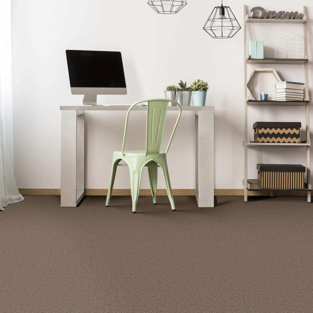 STAINMASTER 7L79100724 Carpet-Panel - View #4