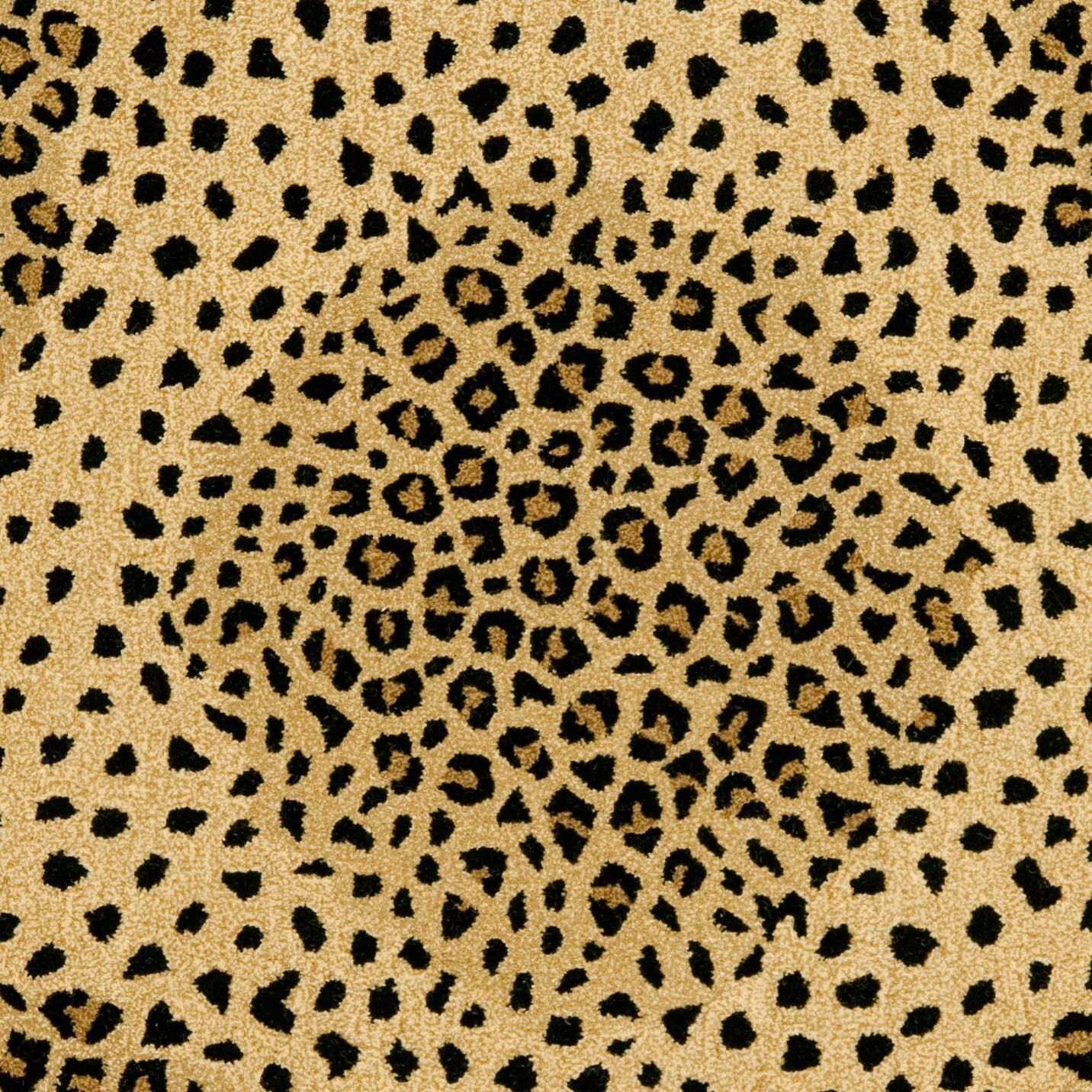 Safavieh SOH552A-6SQ rugs - View #3