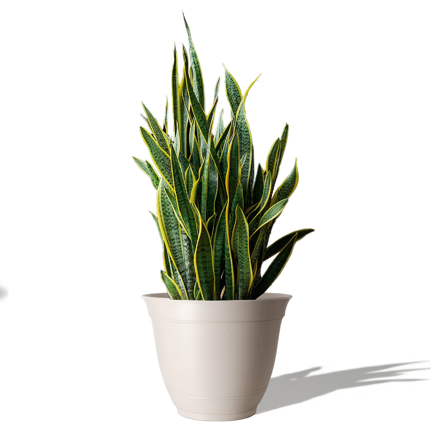Style Selections DP2132C-WH Planter-Window-Box - View #2