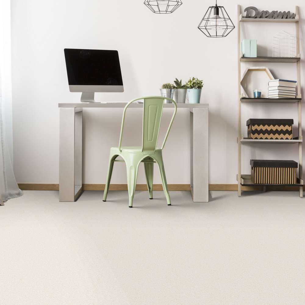 STAINMASTER 7L79100100 Carpet-Panel - View #4