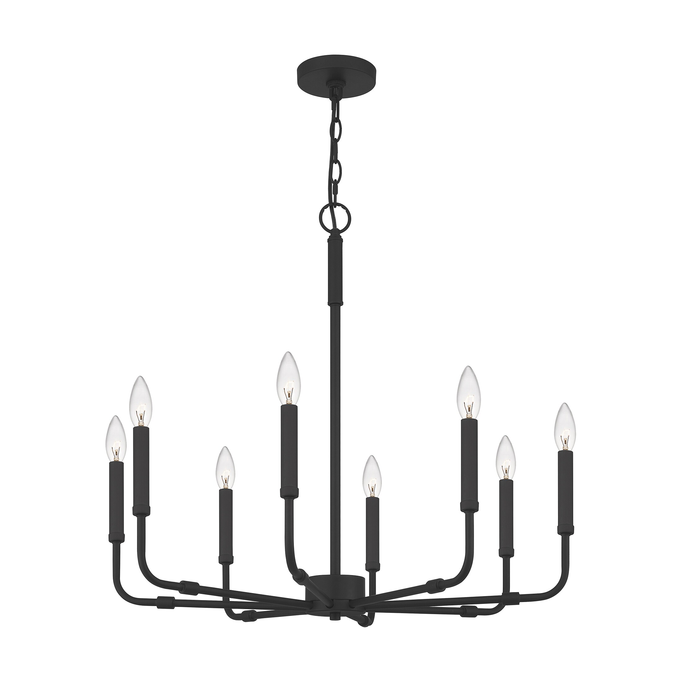 Quoizel Abner 8-Light Matte Black Transitional Damp Rated Chandelier in ...