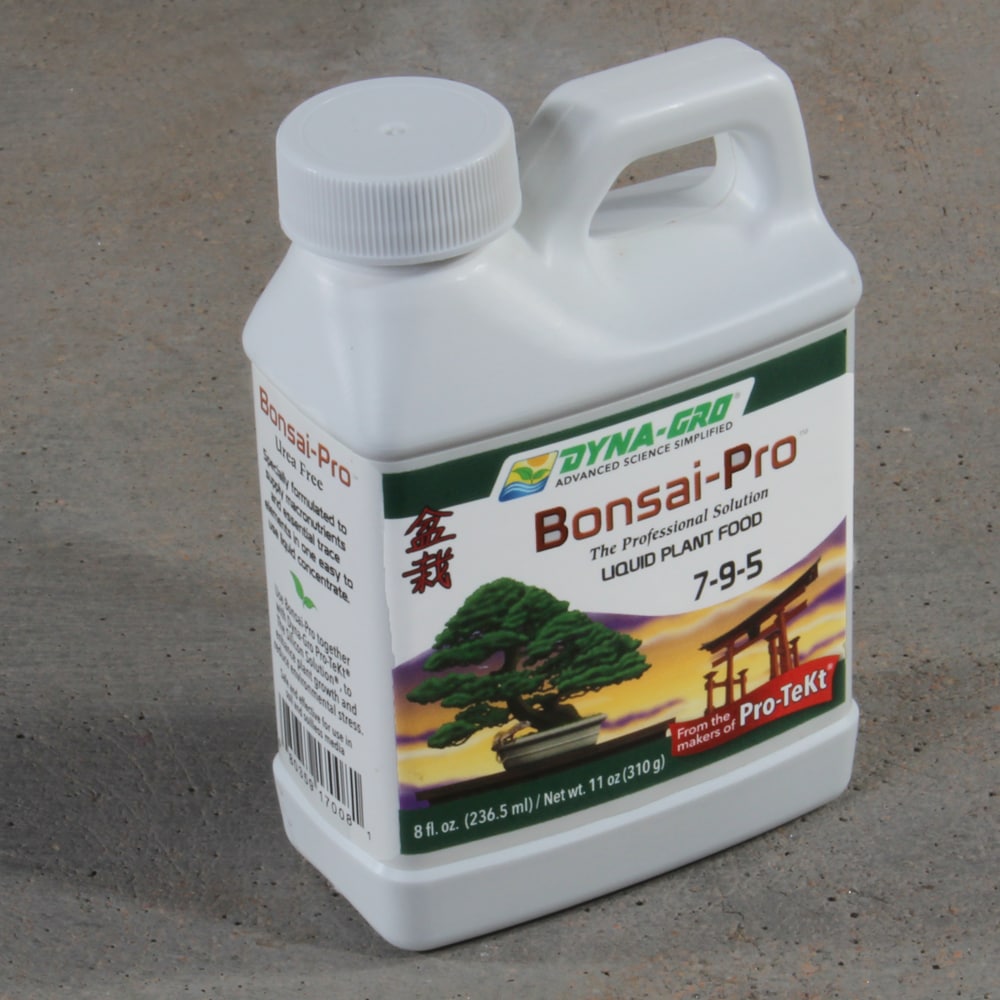 Brussel's Bonsai SPBP8 House-Plant-Accessories - View #3