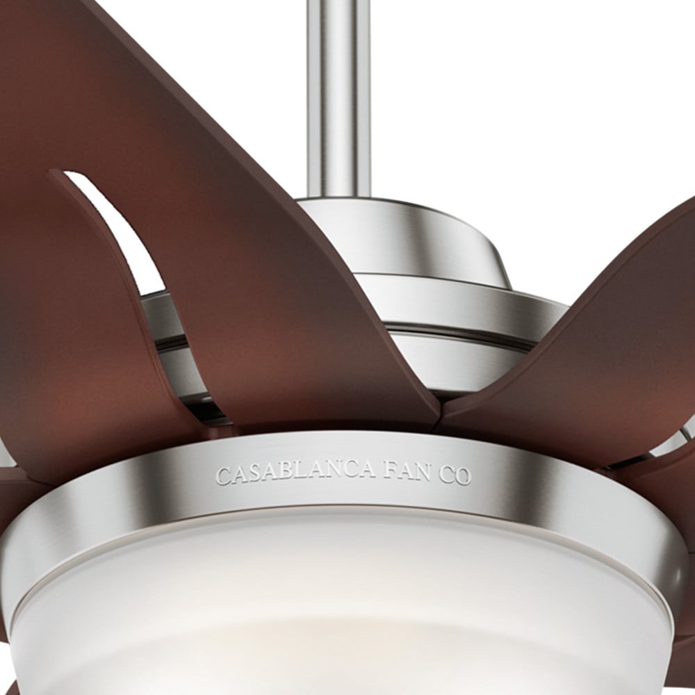Correne 56" Brushed Nickel Ceiling Fan with Coffee Beech Blades and LED Light