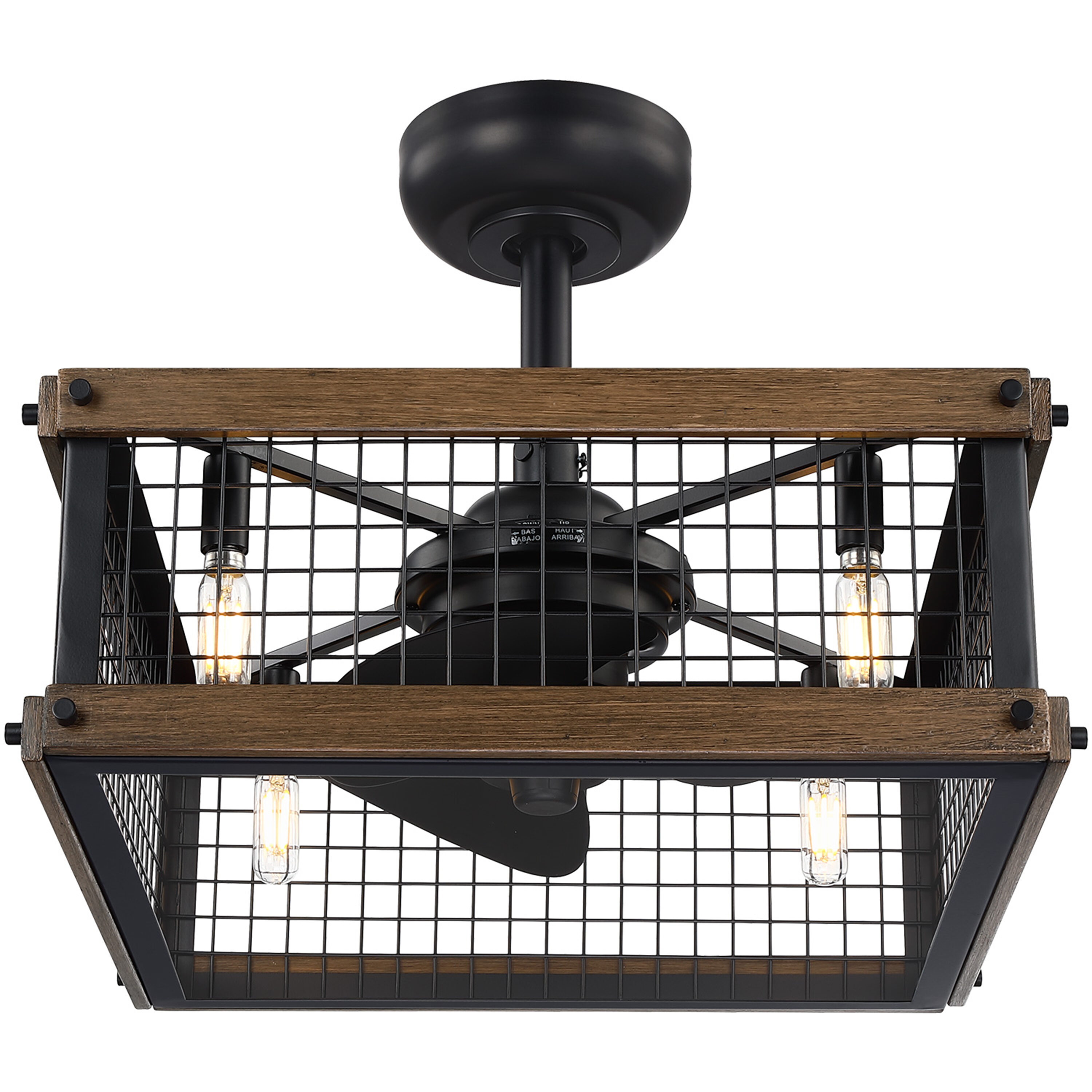 C Cattleya FAN-CL-0003 Ceiling-Fans - View #4