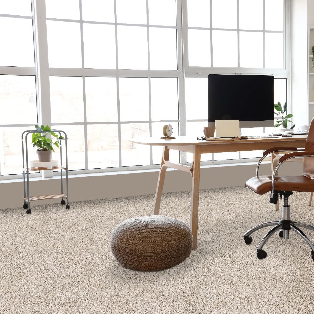 STAINMASTER SS053-L005-S0808 Carpet-Samples - View #2