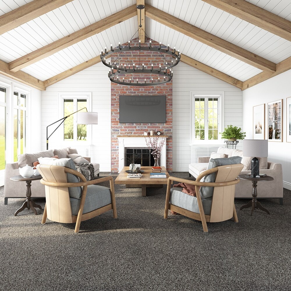 STAINMASTER SS004-L010-0808 Carpet-Samples - View #3