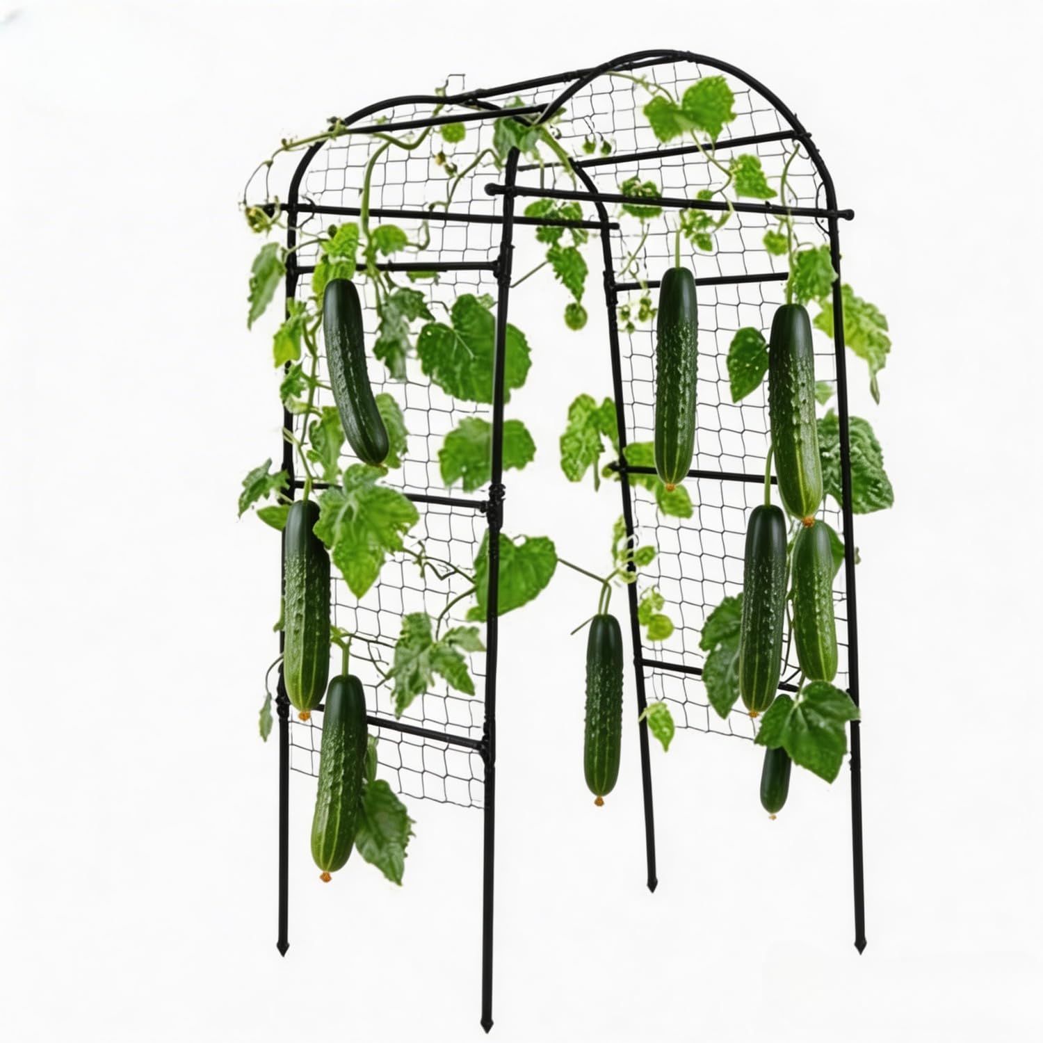 IdealHouse U-Shaped Garden Trellis Arch for Climbing Plants Cucumber and Melon Trellis for Raised Beds with Plastic Connectors Plant Support for Peas Tomatoes and Vegetables