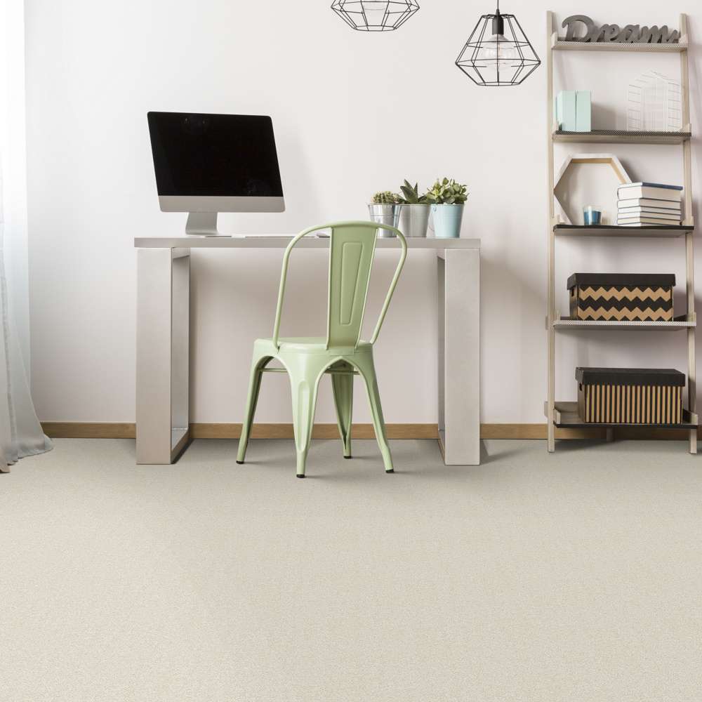 STAINMASTER 7L791-104-SAMP Carpet-Samples - View #4