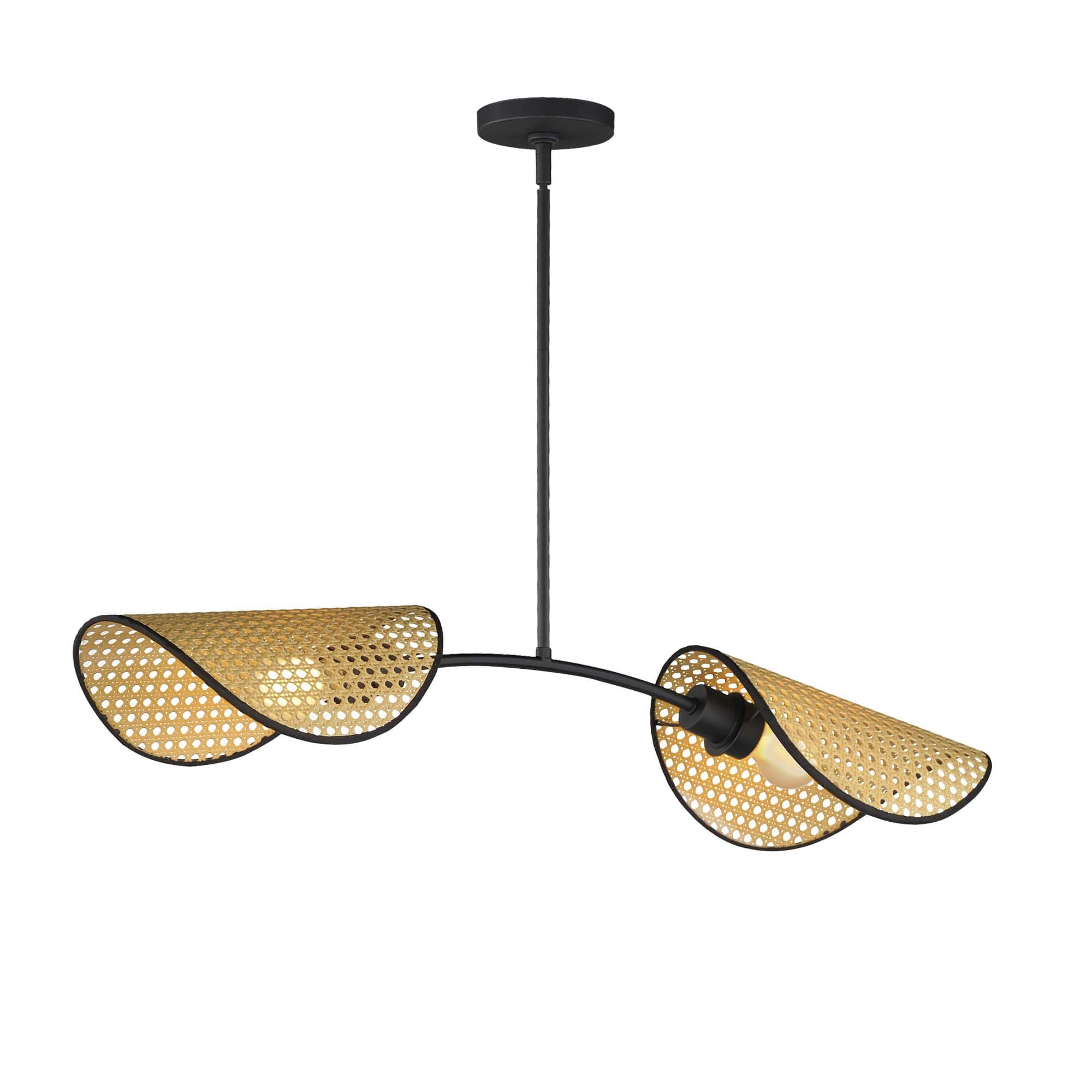 Maxim Lighting A-MX-12632NABK Bonnet 2 - Light Black Incandescent Paper And Steel Pendant Light