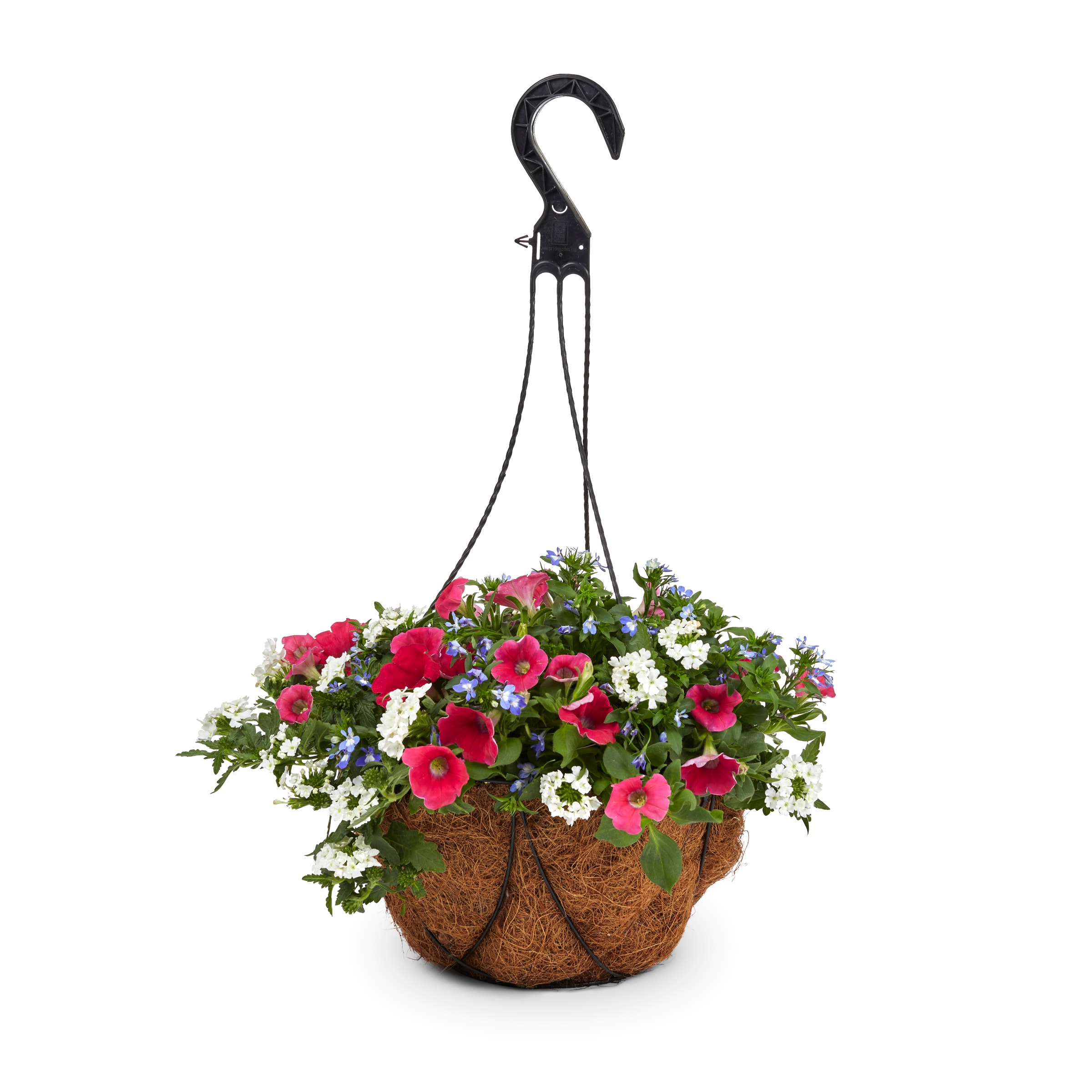 Lowe's Multicolor Mixed Annuals in 2-Gallon Hanging Basket in the ...