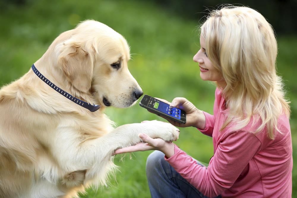 High Tech Pet BF-22 Pet-Training-Collars - View #3