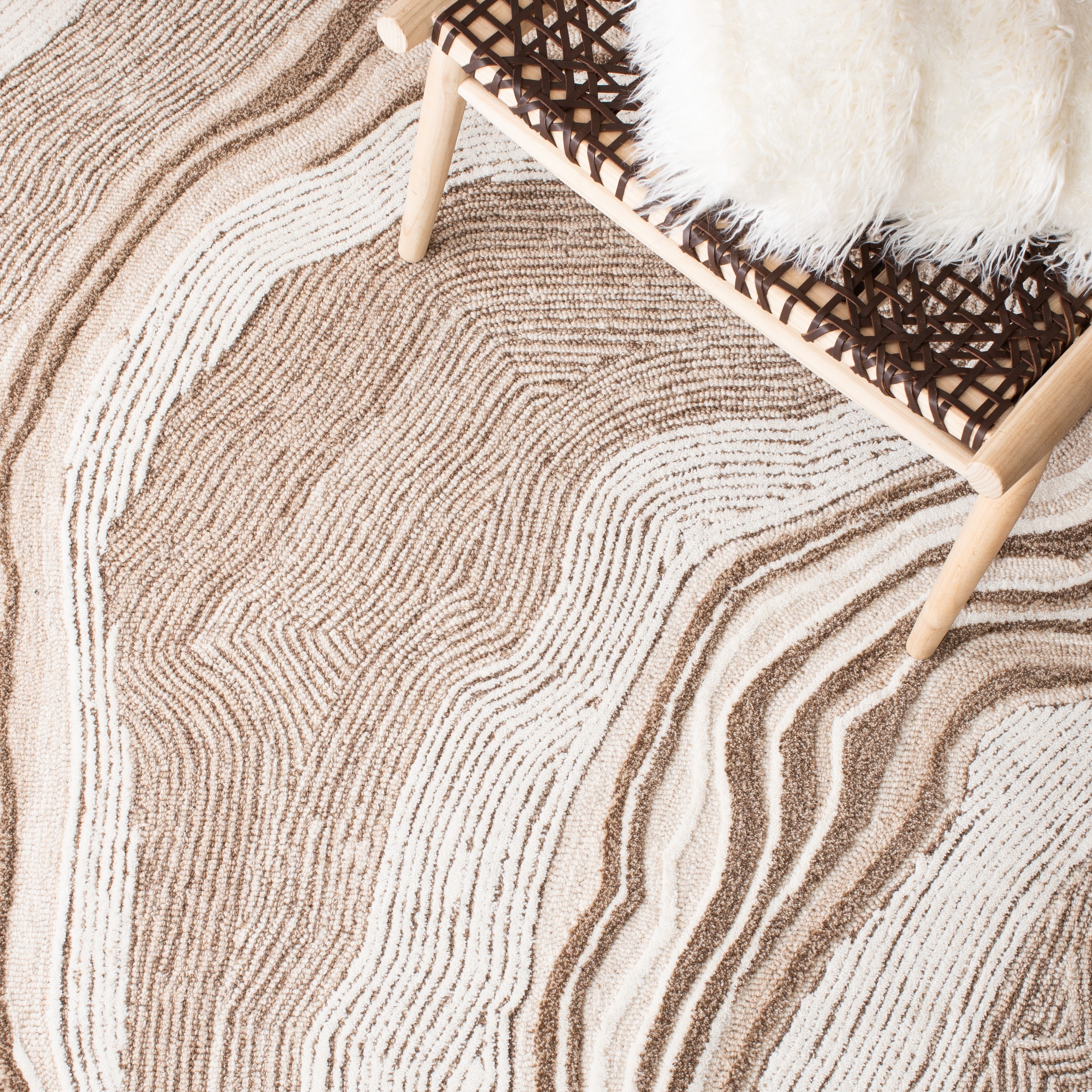 Safavieh FTV121B-10 rugs - View #6