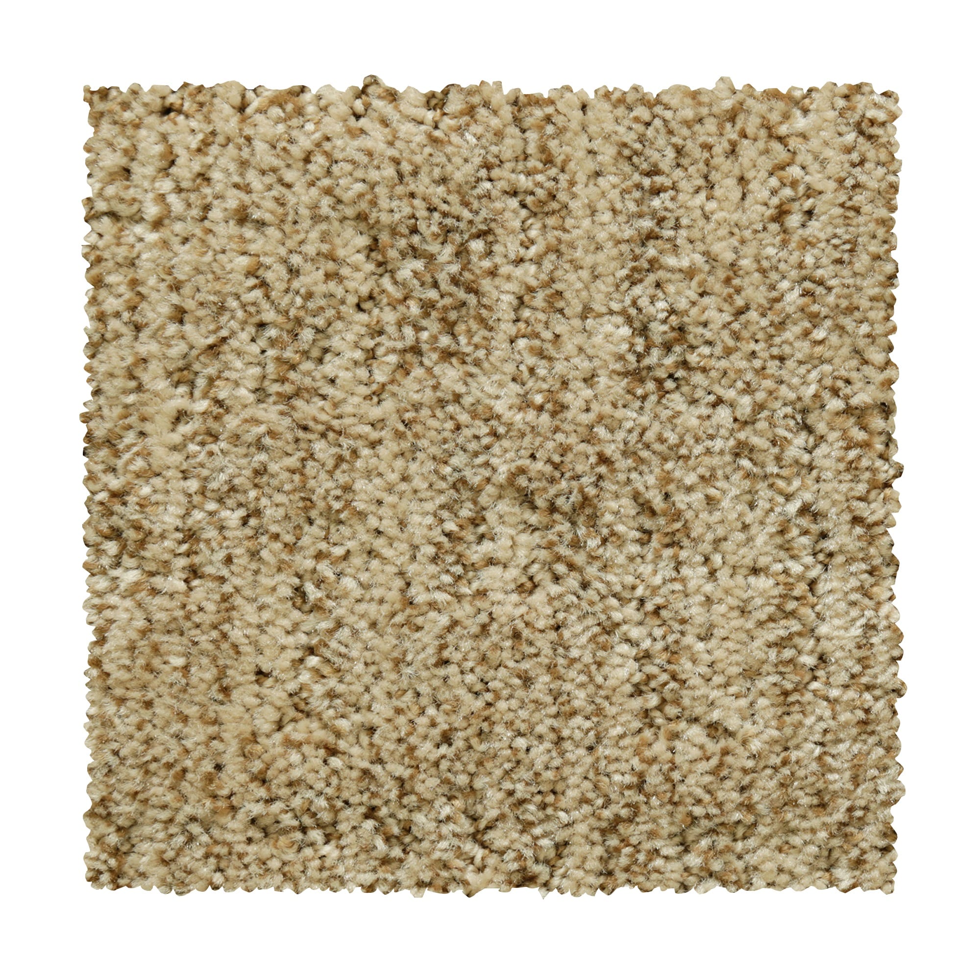 STAINMASTER LW187-12-L001 Express Install First Class Creek Brown 37.2-oz sq yard Polyester Pattern Indoor Carpet