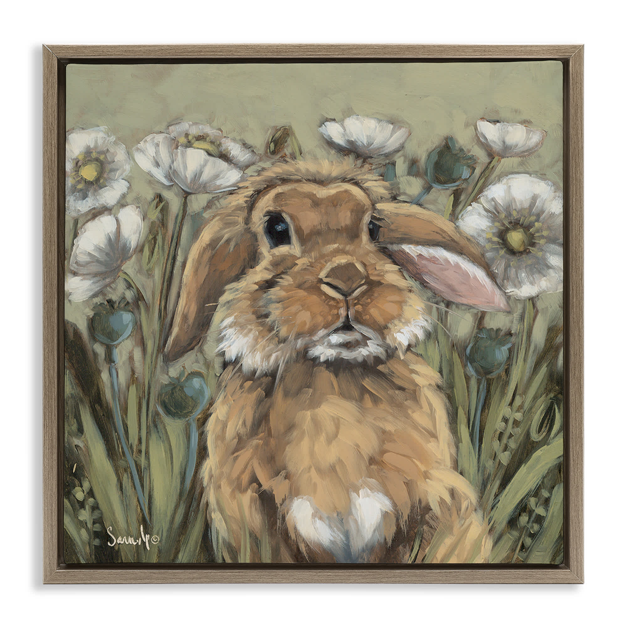 Stupell Industries BS-657-FFE-17X17 Rabbit in Poppy Garden Brown Framed Floater Canvas Wall Art By Sara G. Designs 18 x 18