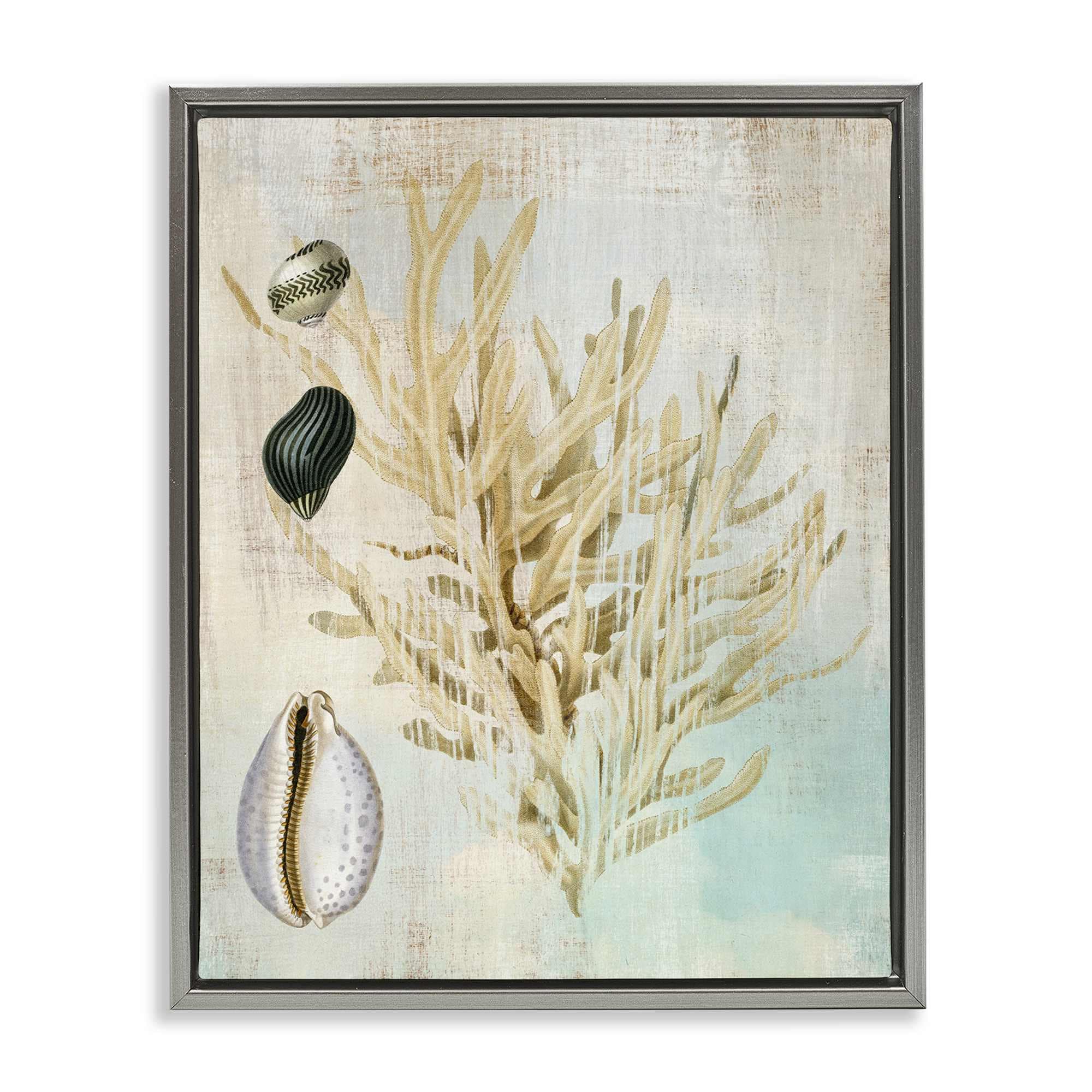 Stupell Industries BT-993-FFL-24X30 Coral Branch and  Cowrie Shells Floating Frame design by Susan Arnot