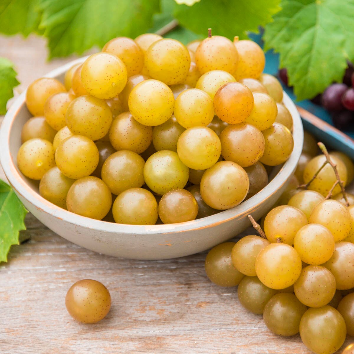 Green Seedless Grapes, 2.25 lbs