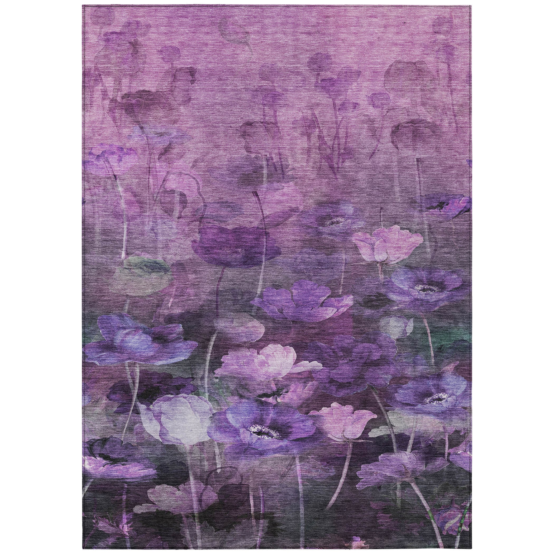 Addison Rugs ACN613PP30X46 rugs - View #2