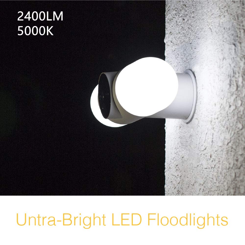 Litmor capsule hot sale floodlight camera