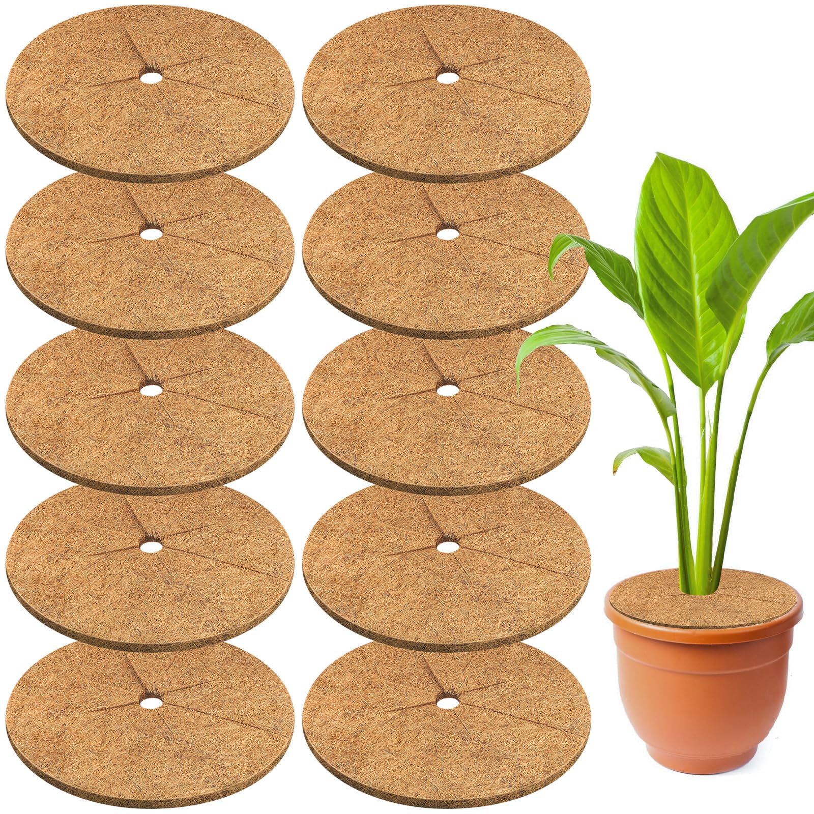 Misopily  10pcs Coconut Fiber Mulch Ring 14 Inch Natural Coir Tree Protector Mat Soil Cover for Indoor Outdoor Plants Landscaping Weed Barrier