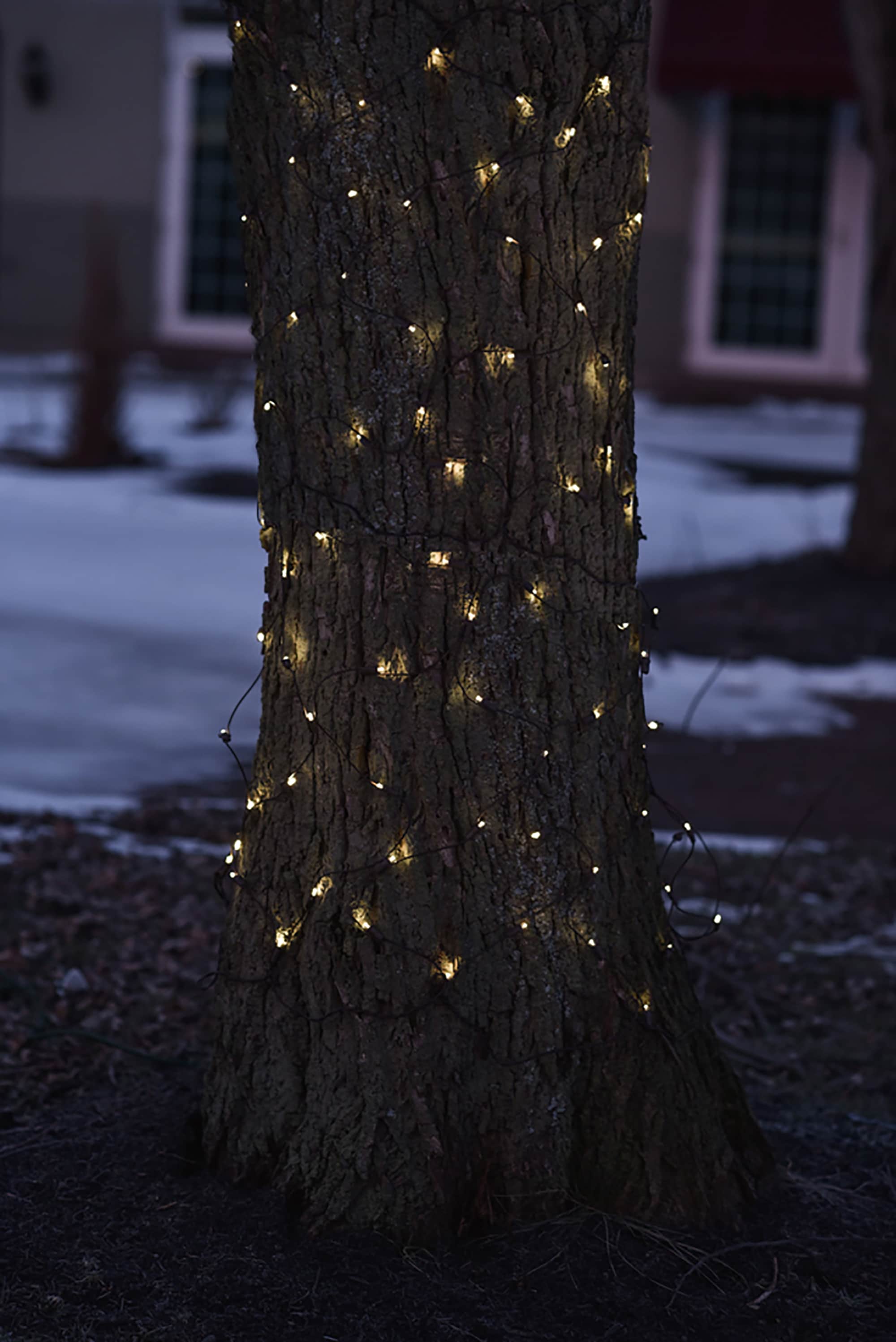 Northlight 32604111 Christmas-String-Lights - View #4
