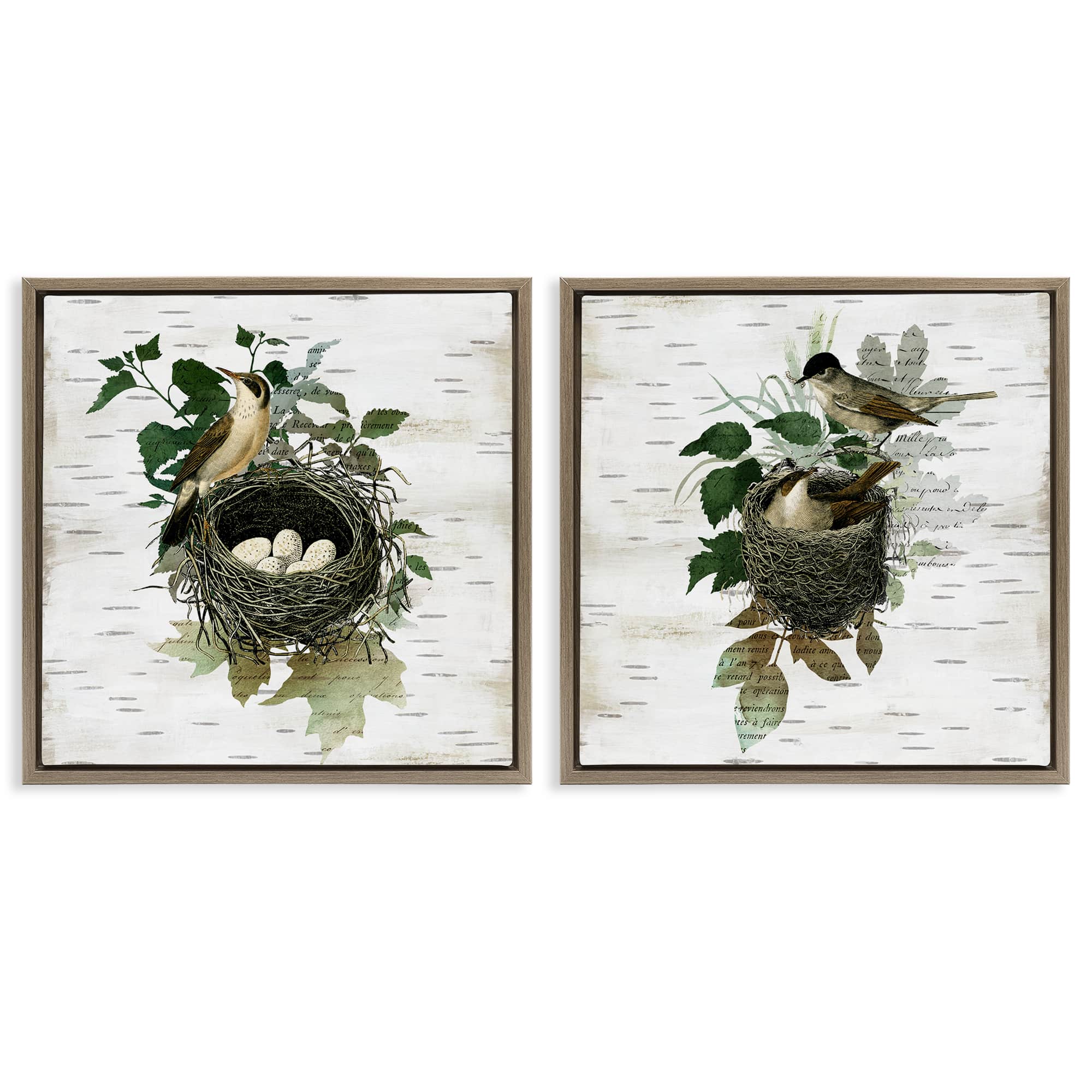 Stupell Industries B2-749-FFE-2PC-24X24 Rustic Vintage Bird Nests 2pc Floating Frame Set design by Susan Arnot
