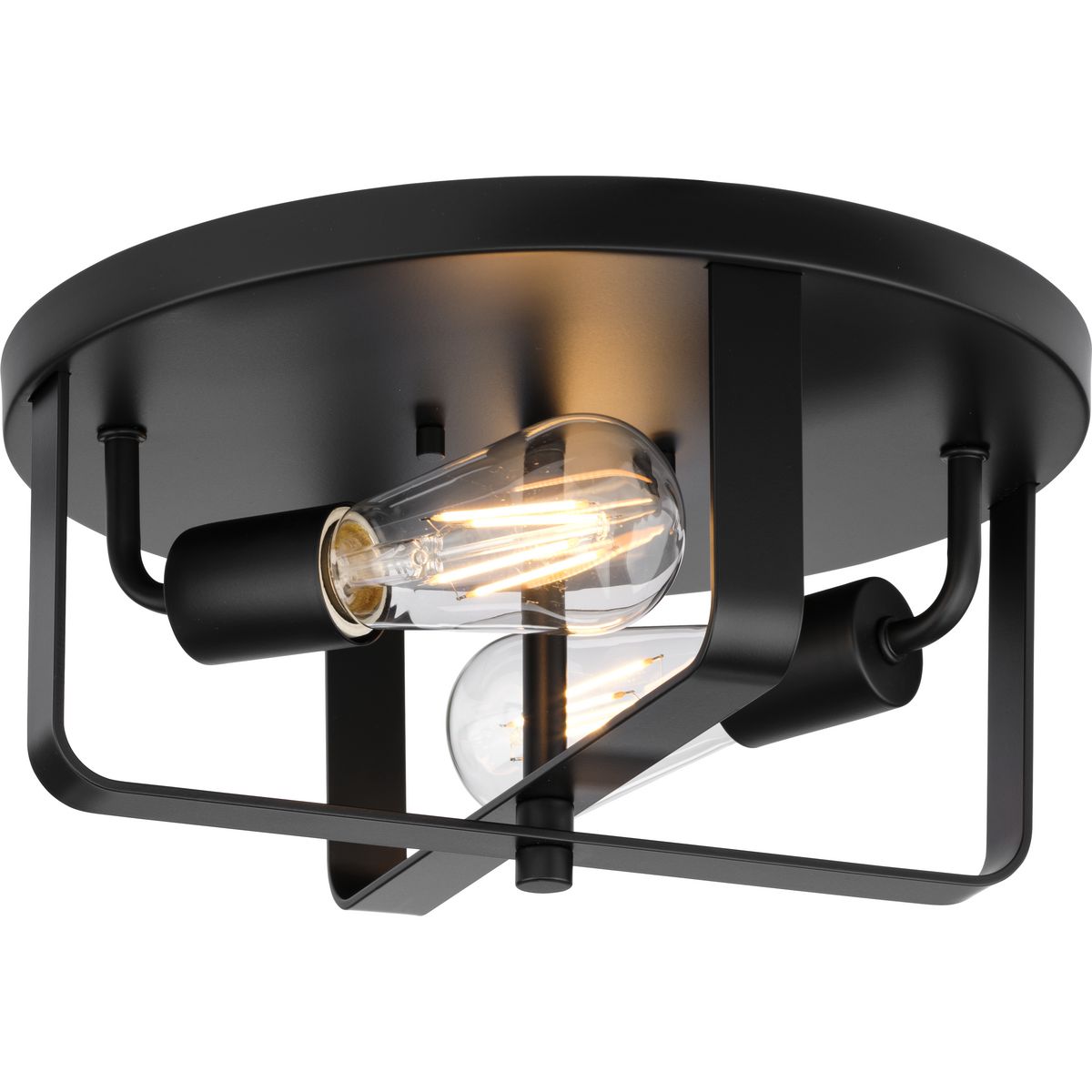 Progress Lighting P350273-31M McColl 2 -Light 12-in Matte Black Flush Mount Light