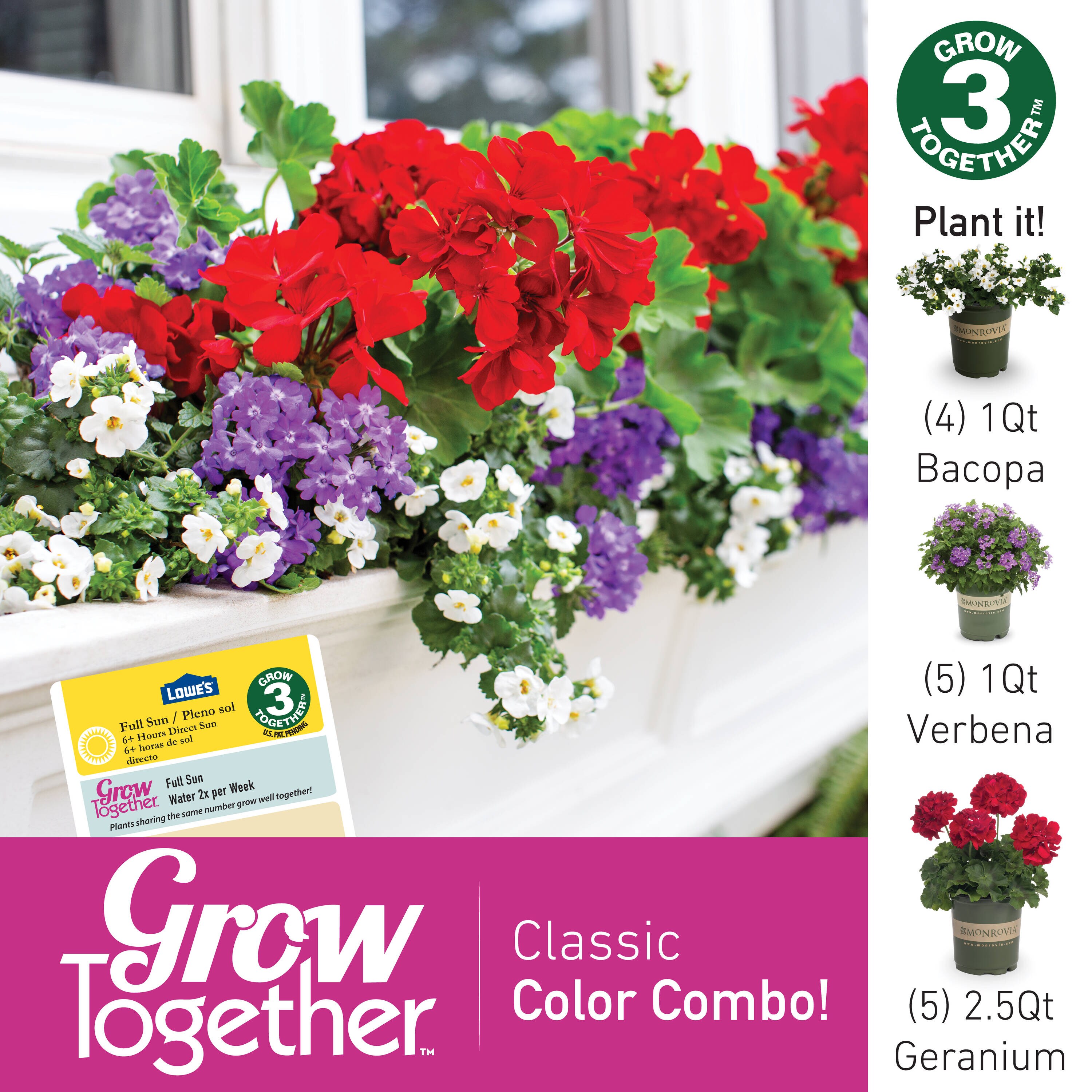 Monrovia 4810 annuals - View #3