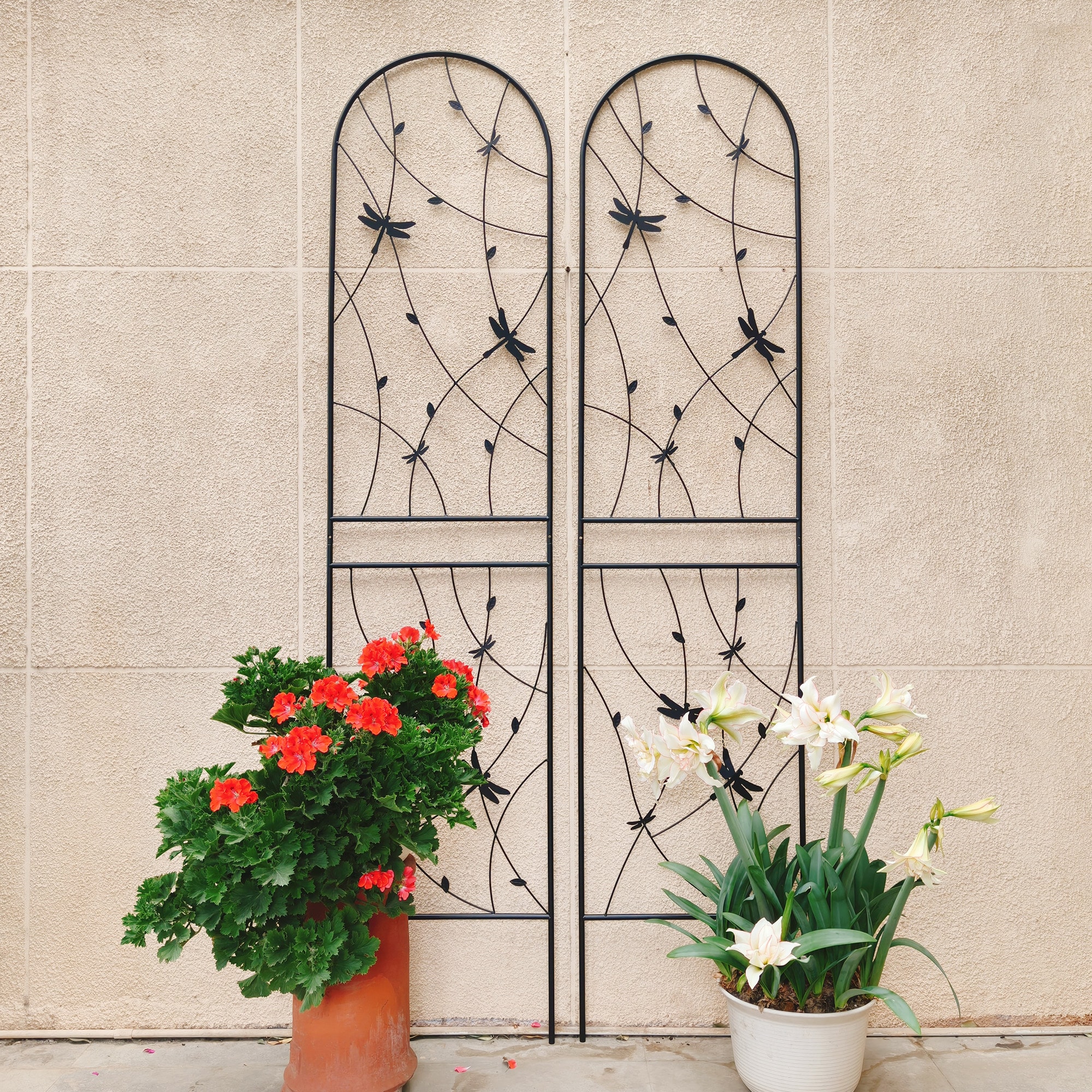 Wooakway FXLS0609-604A116 Garden-Trellis - View #7