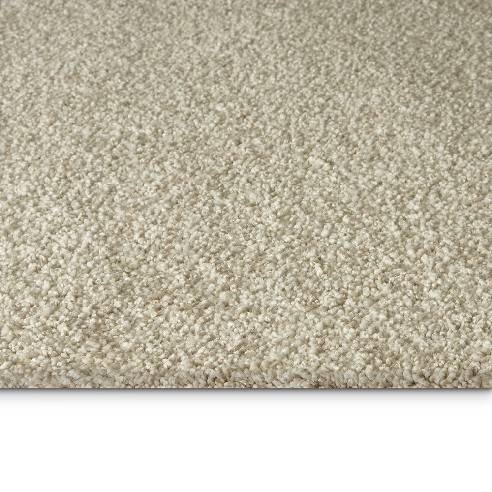 STAINMASTER PetProtect SS078-12-L001 Carpet-Panel - View #6
