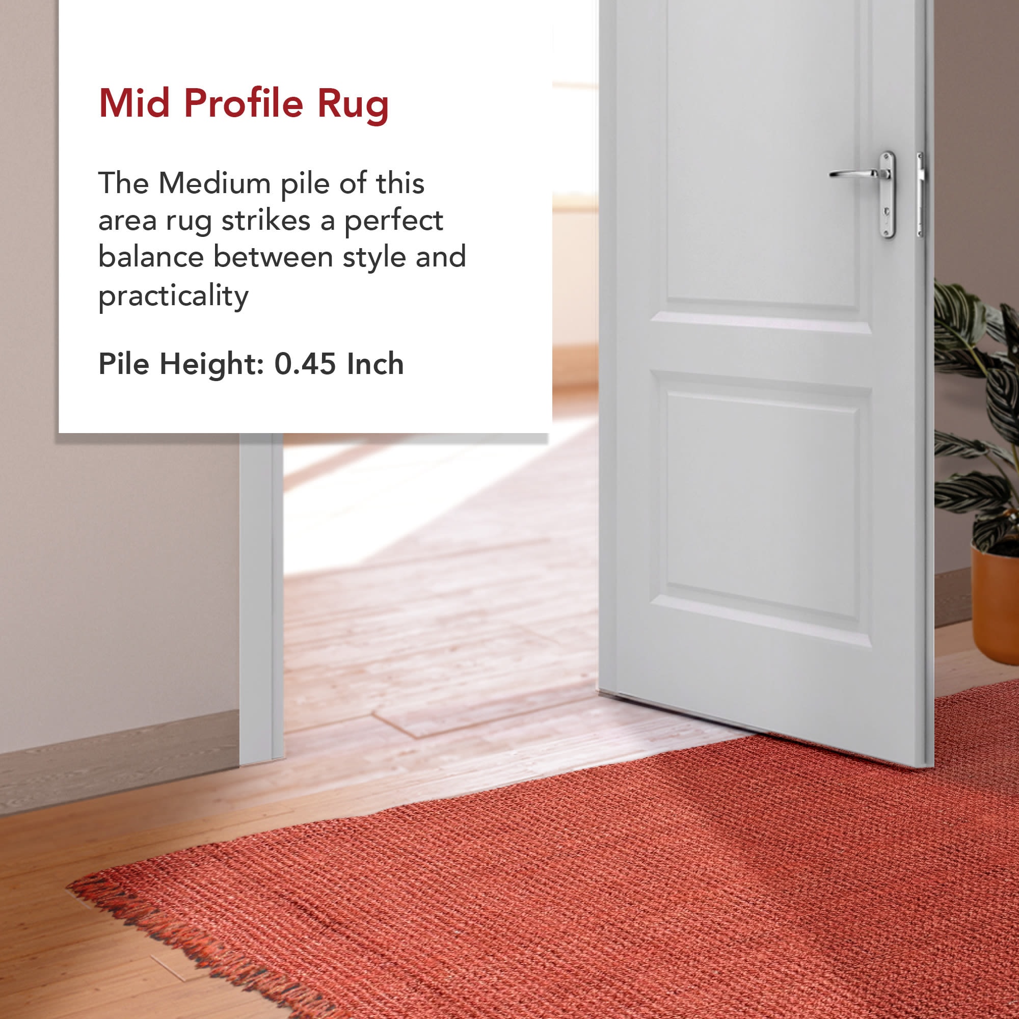 nuLOOM NCCL01F-406 rugs - View #3