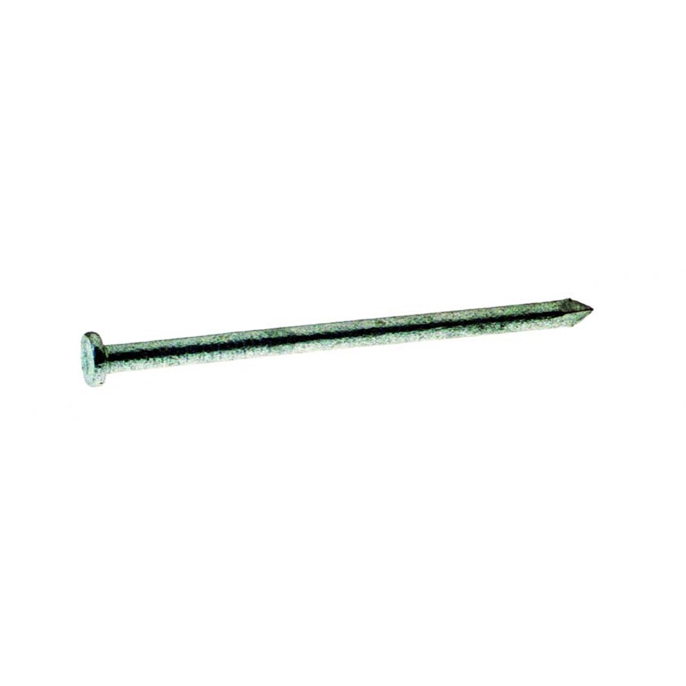 Grip-Rite 20HGC5 4-in 6 -Gauge Hot-dipped galvanized Smooth Shank Common Nails 139 -Per