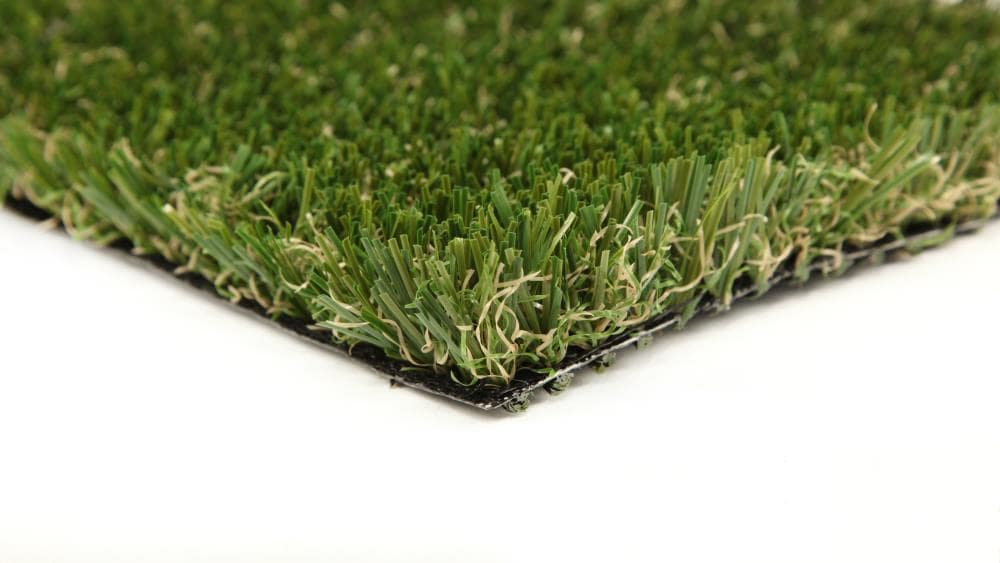 20 Pet Turf FAQs & Answers About Artificial Turf for Dogs