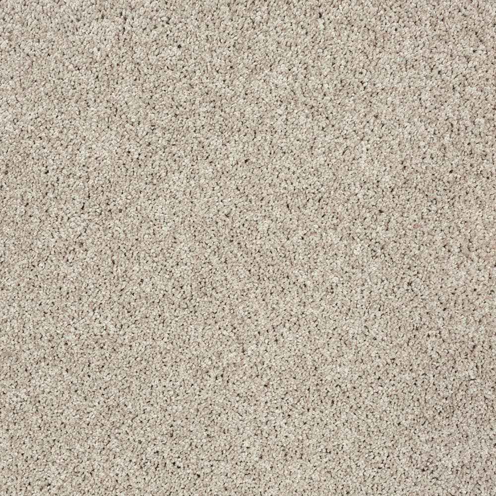 STAINMASTER SS002-L004-0808 (Sample) Comfort Walk I Pekoe Brown 40-oz sq yard Polyester Textured Indoor Carpet