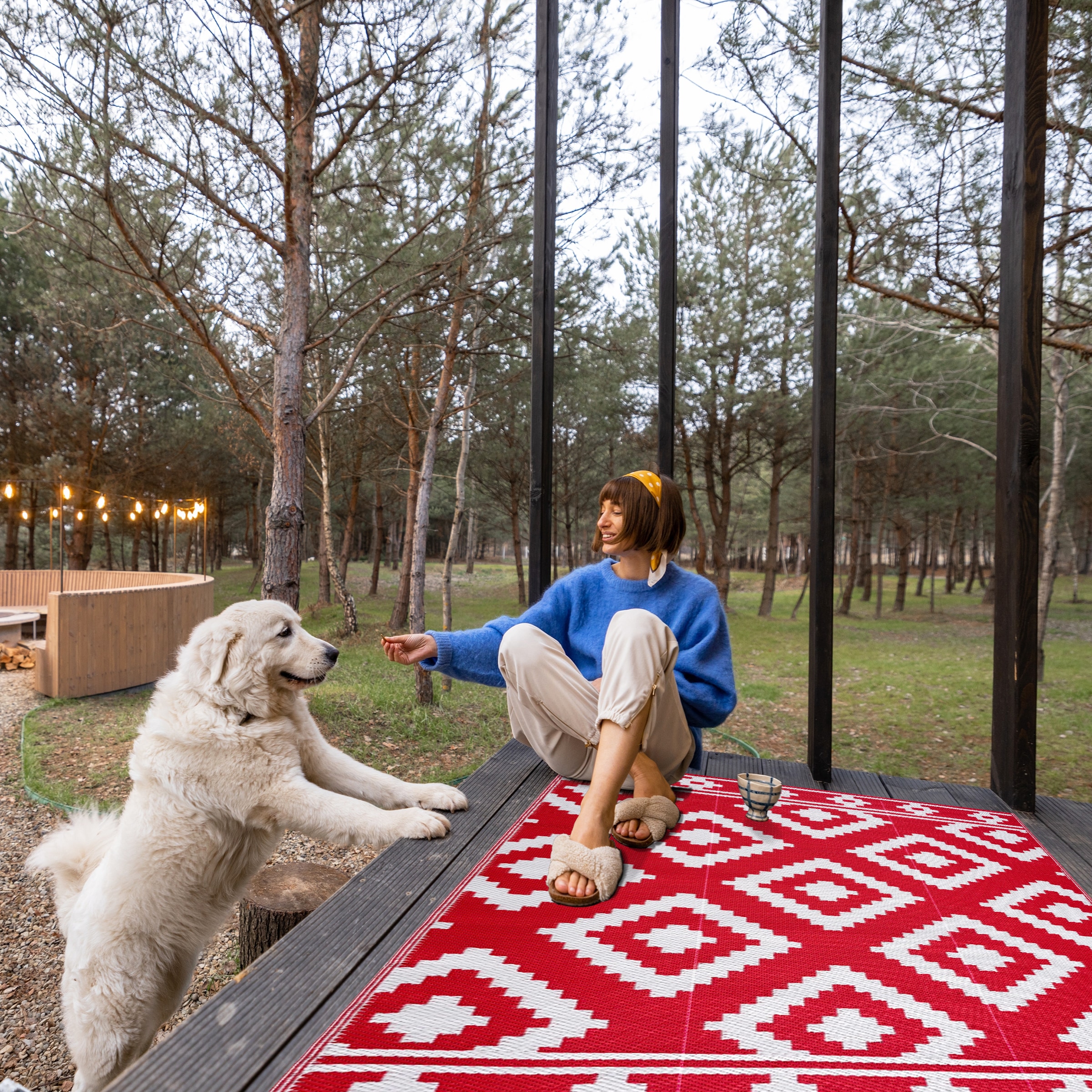 Playa Rug PLY-F-MLN-RW-5X7 rugs - View #5