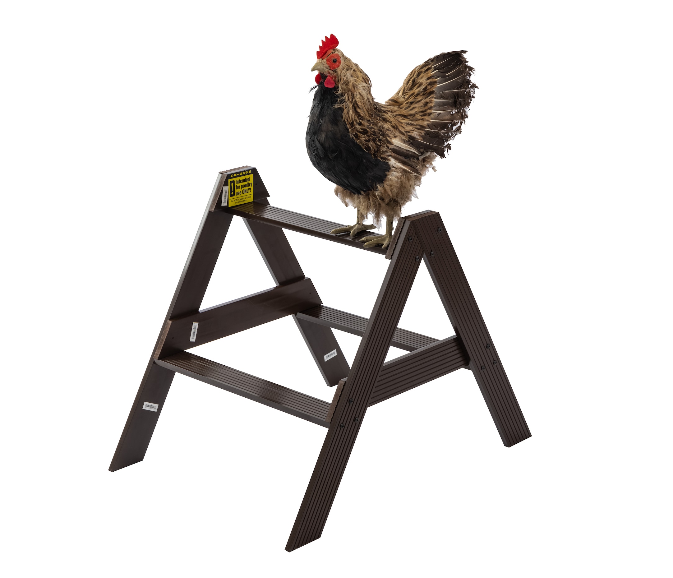New Age Pet EFCRRA30-09M Brown Composite Roosting bar