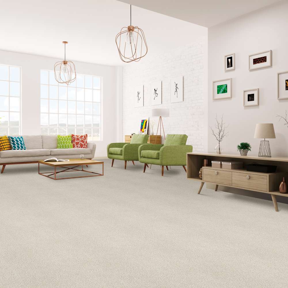 STAINMASTER 7L798-121T-SAMP Carpet-Samples - View #3